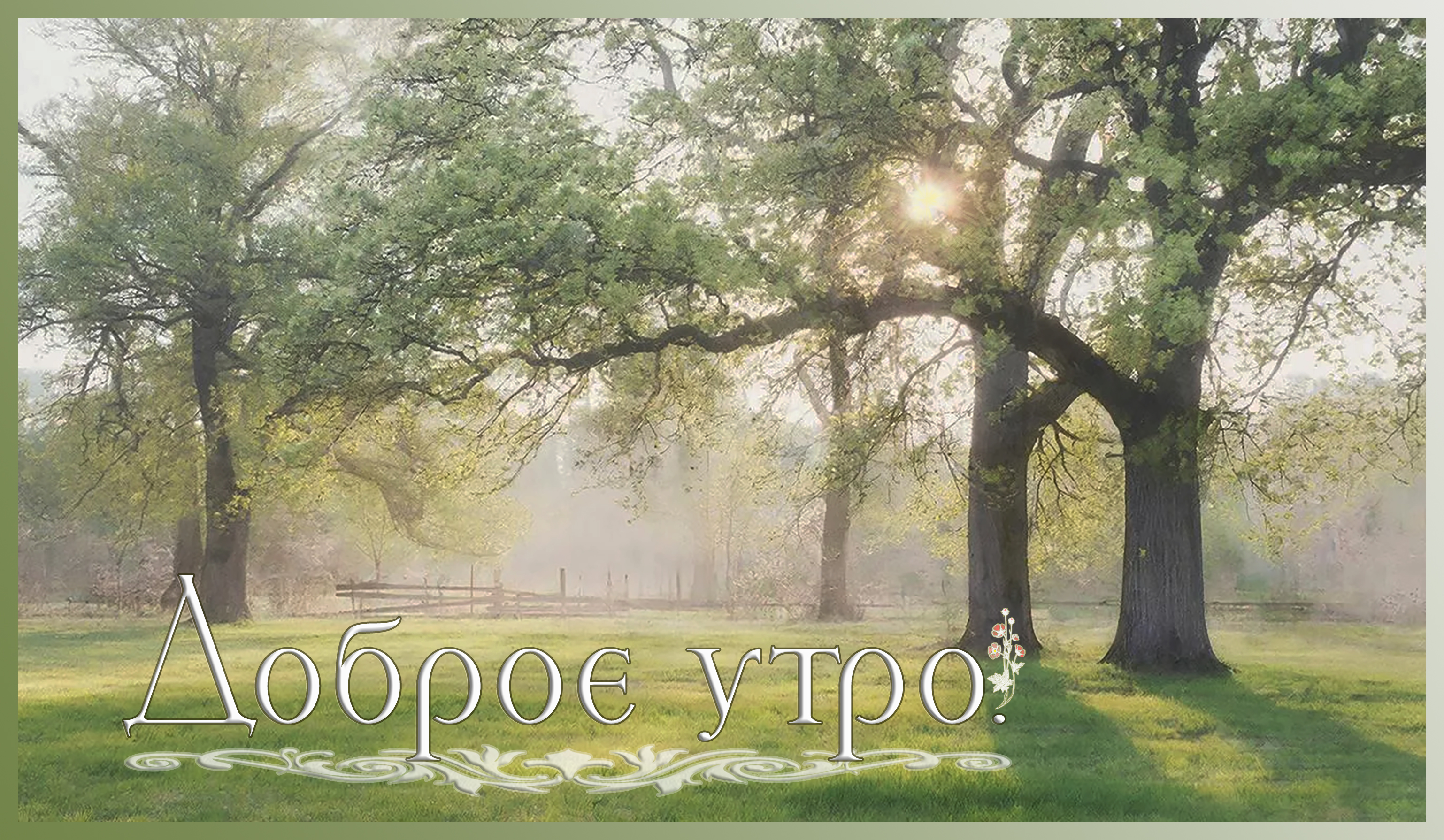 Бесплатная открытка Доброе утро @rusrurus12