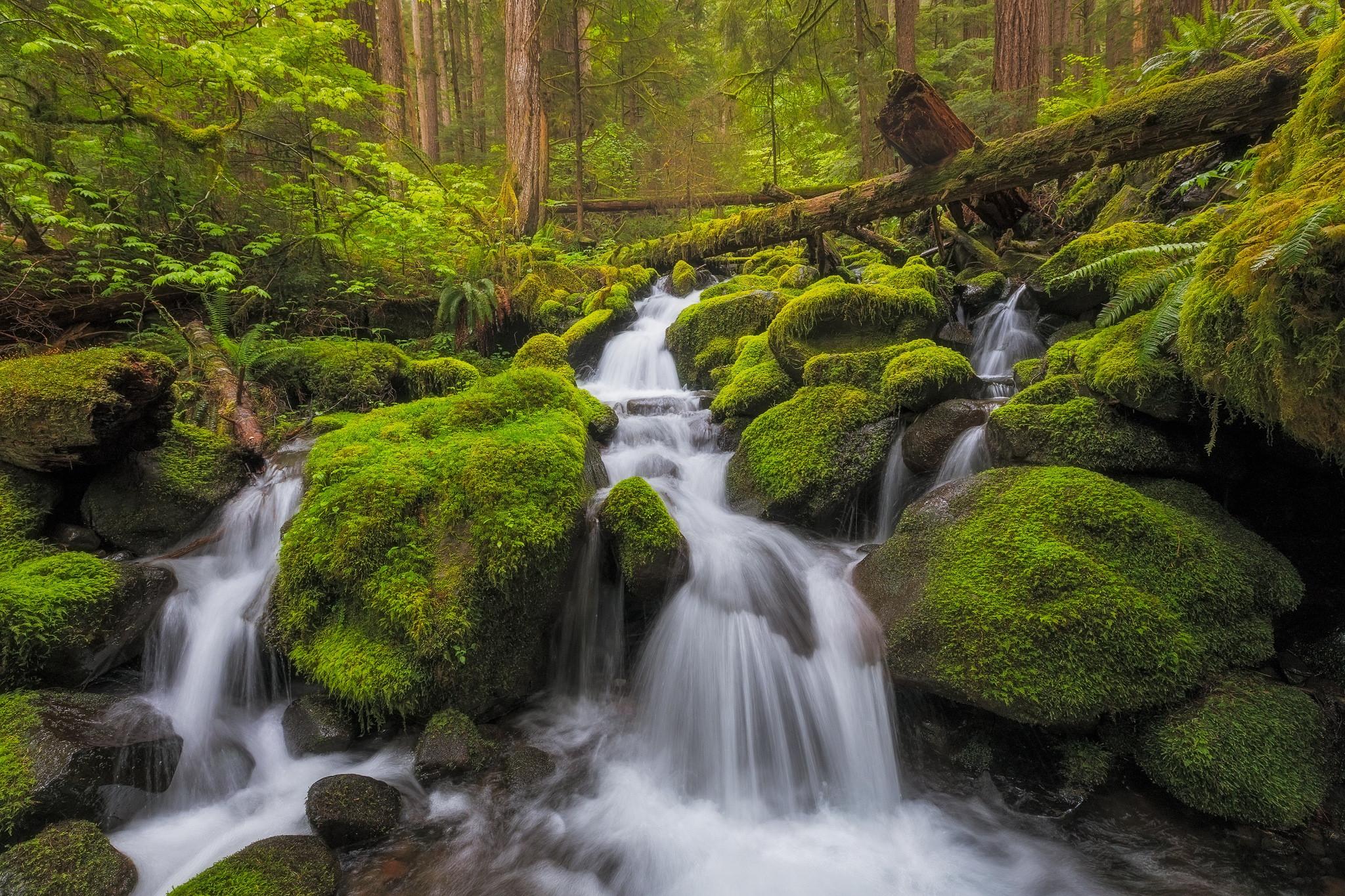 Обои Olympic National Park Port Angeles United States на рабочий стол