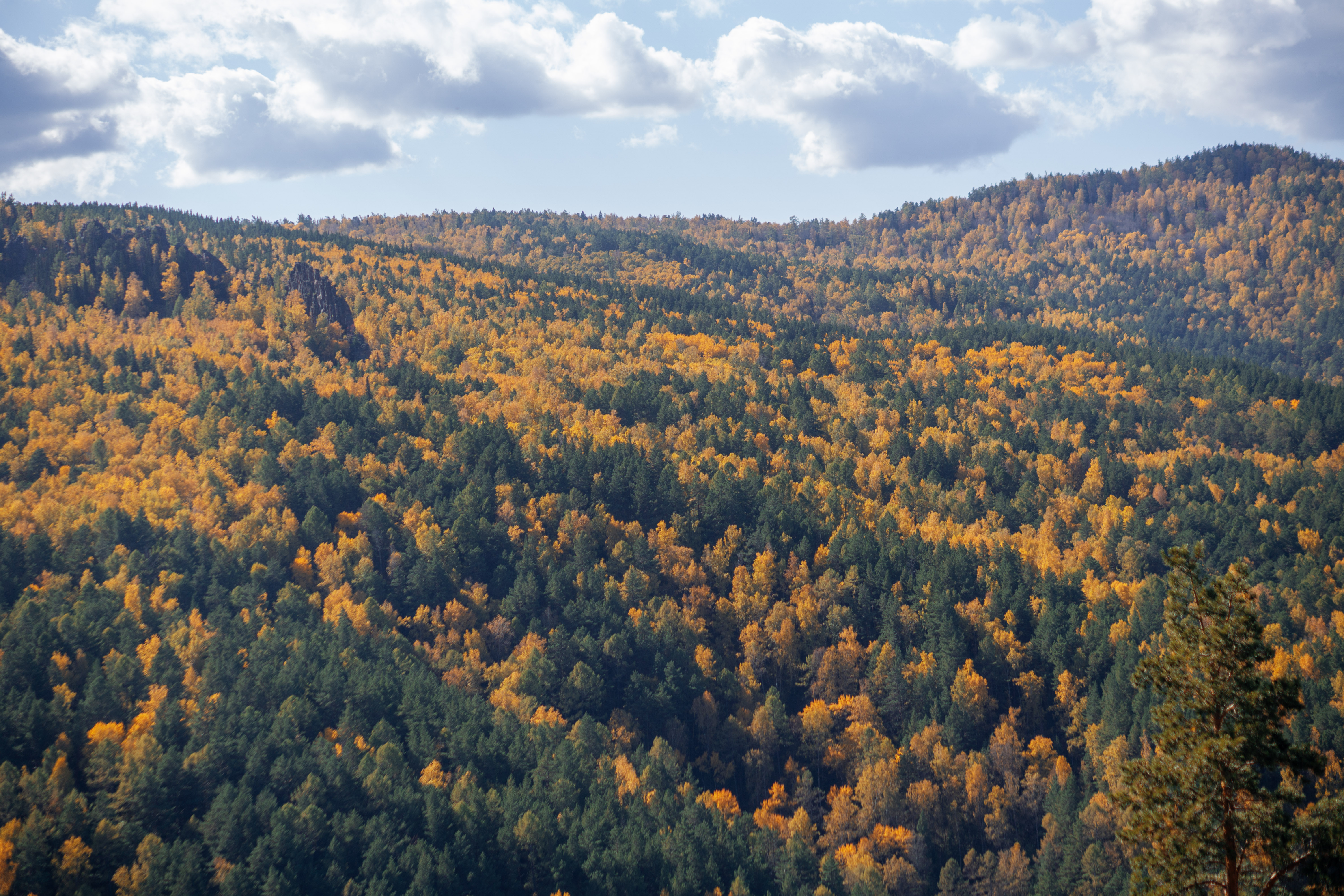 Бесплатное фото Панорама горной местности осенью