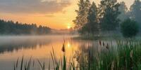 Рассвет над озером в тумане, камыши на переднем плане.
