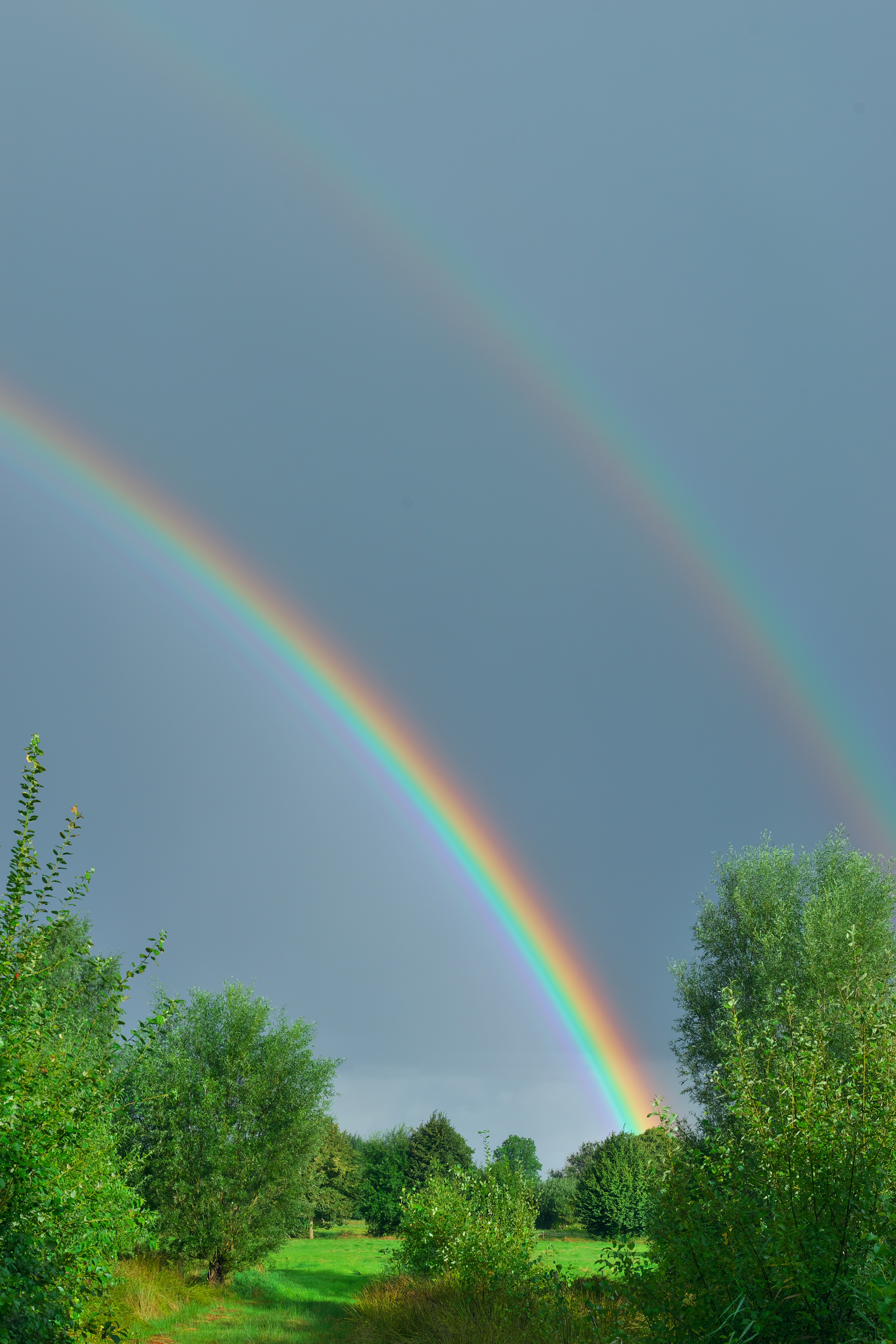 Free photo A double rainbow in a summer field