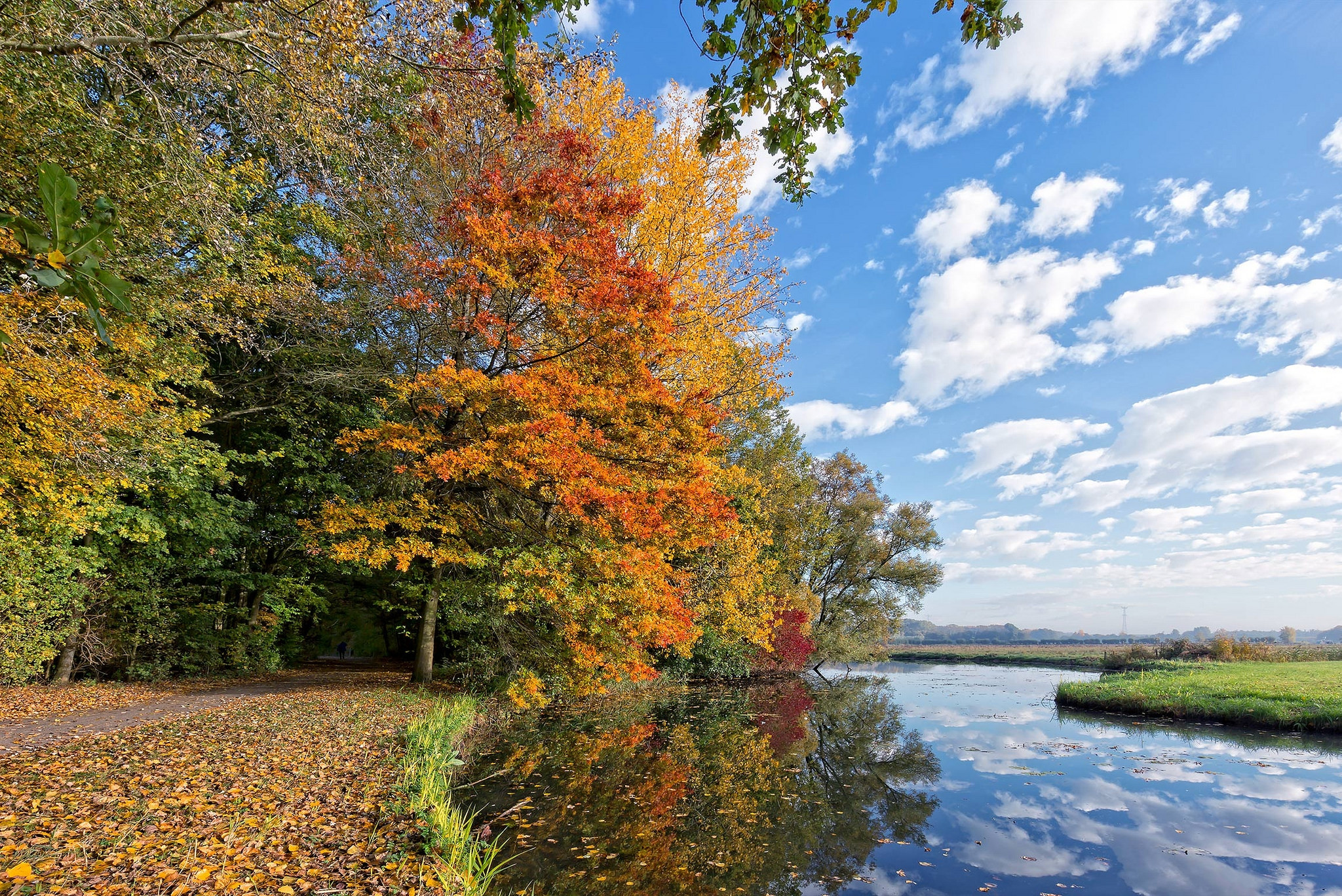 Wallpapers autumn river green grass on the desktop