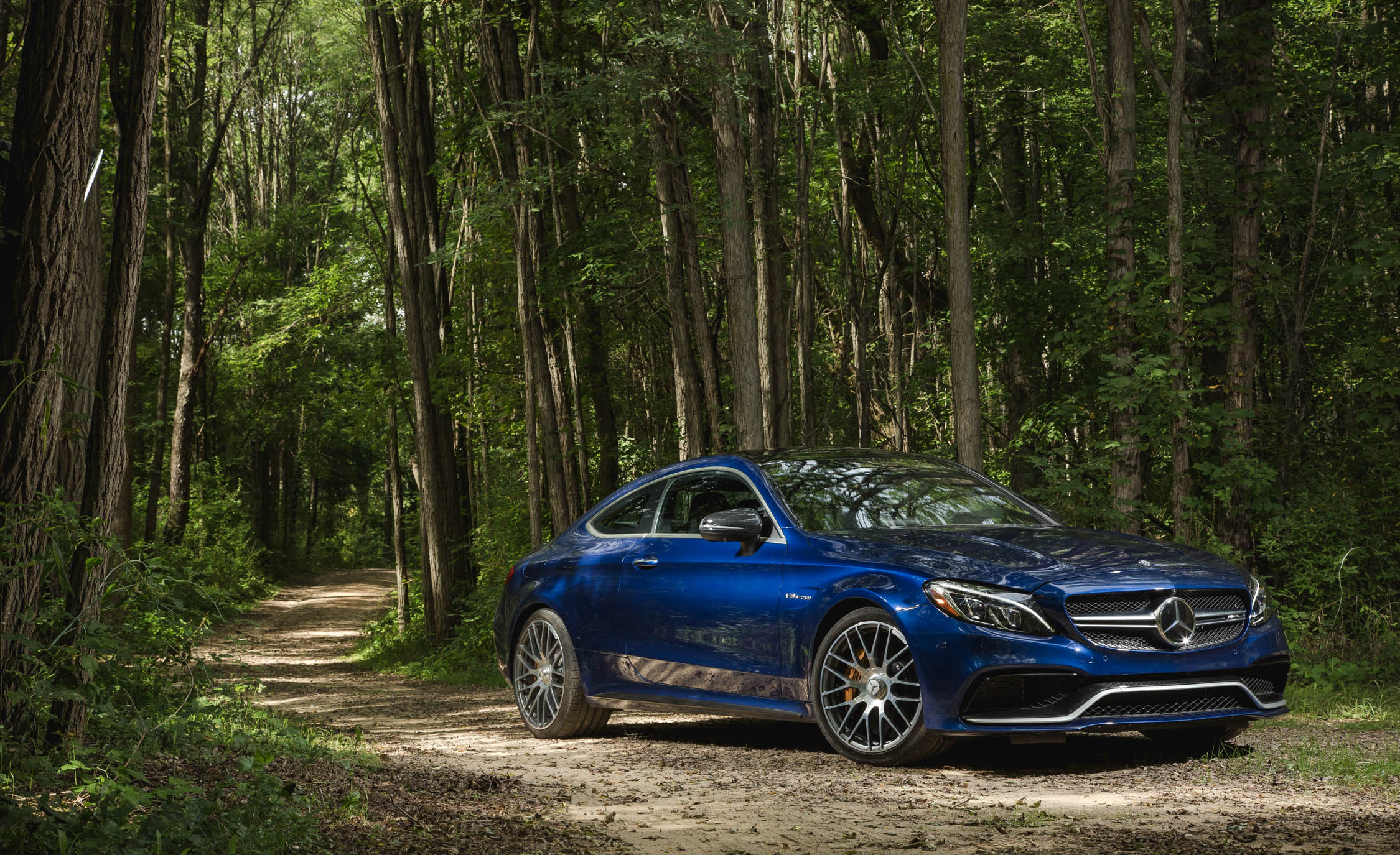 Free photo A blue Mercedes Benz in the woods