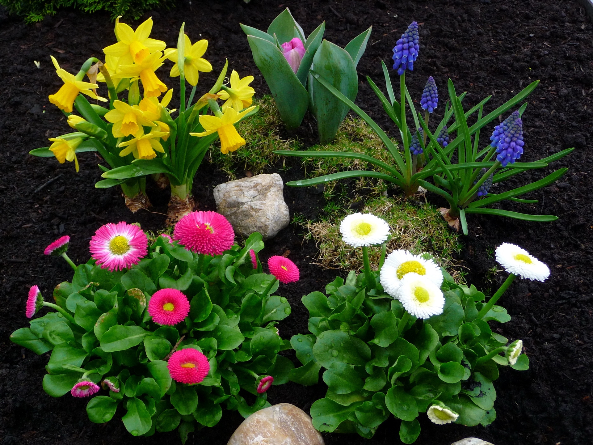 Первые вестники весны