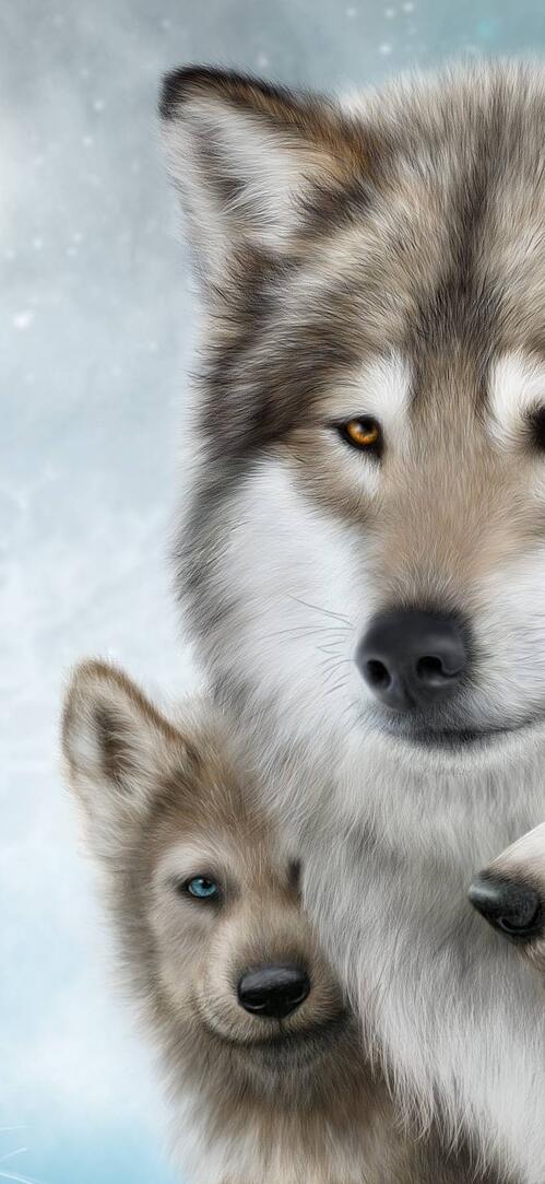 Обои хищники волки art на рабочий стол