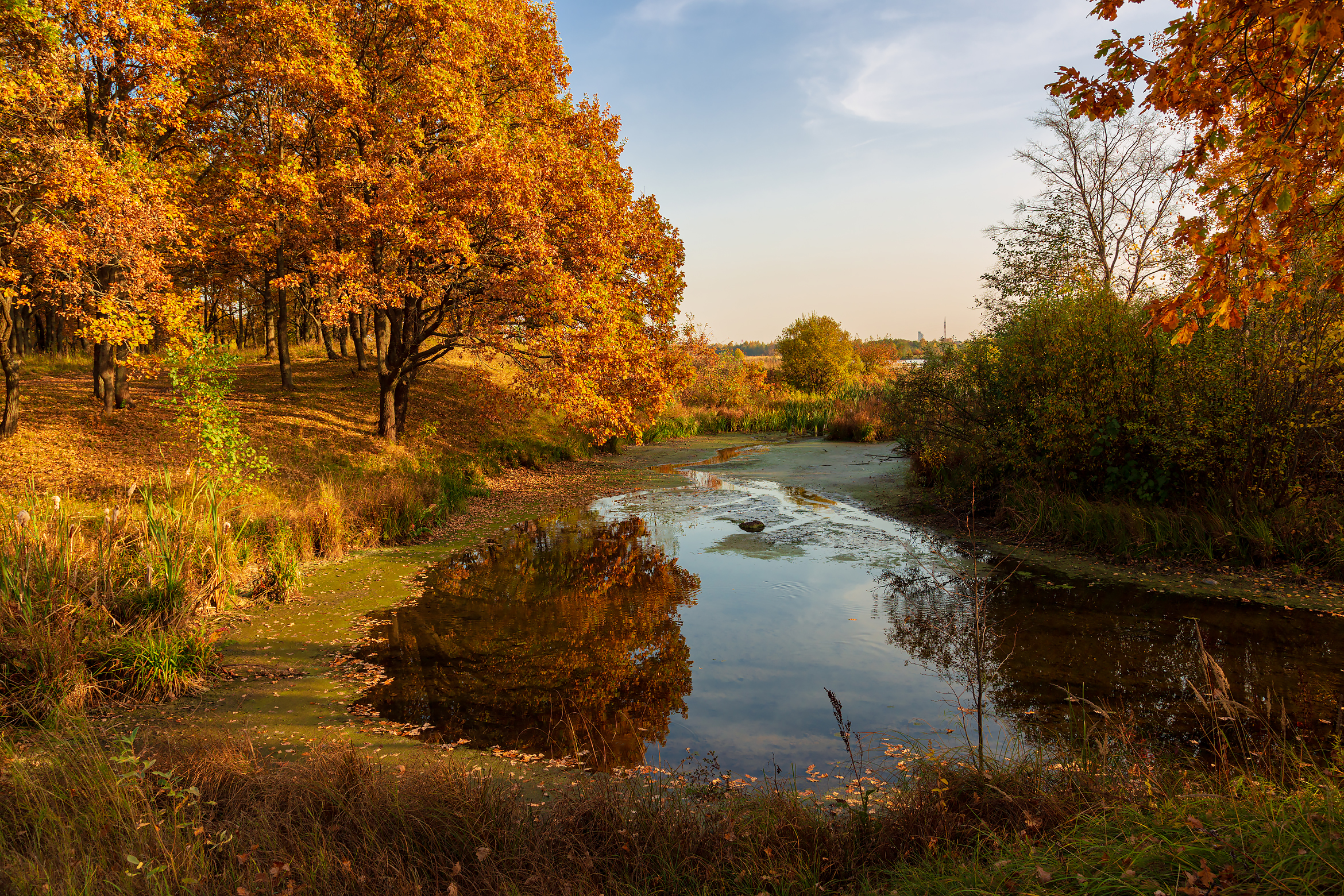 Free photo Autumn, autumn...