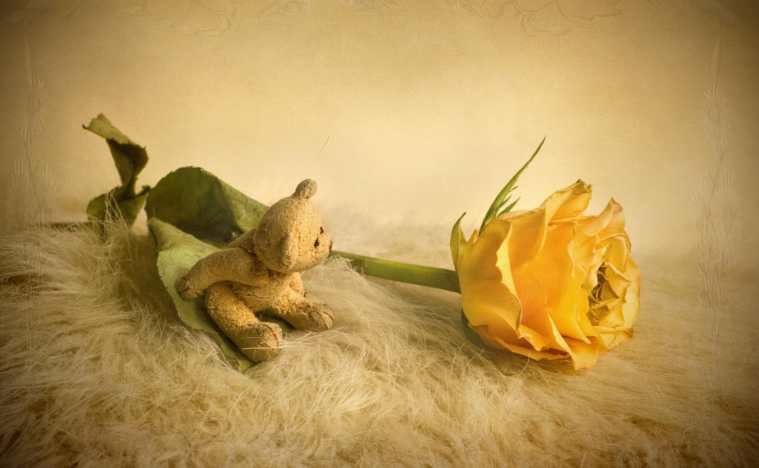 Плюшевый медведь, лежащий на пушистом покрывале рядом с желтой розой.