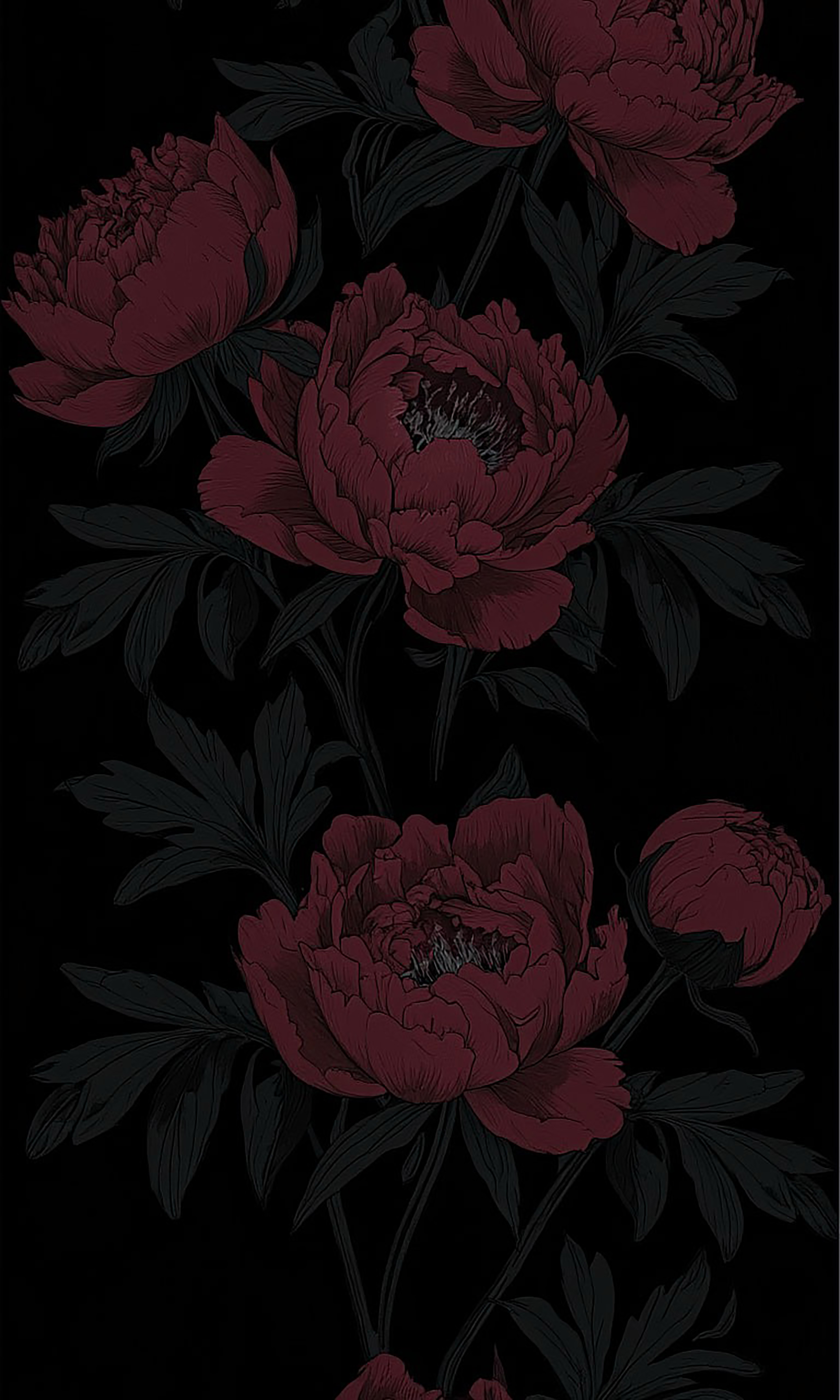 免费照片黑牡丹。