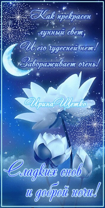 Открытка на тему спокойной ночи кошки скачать бесплатно