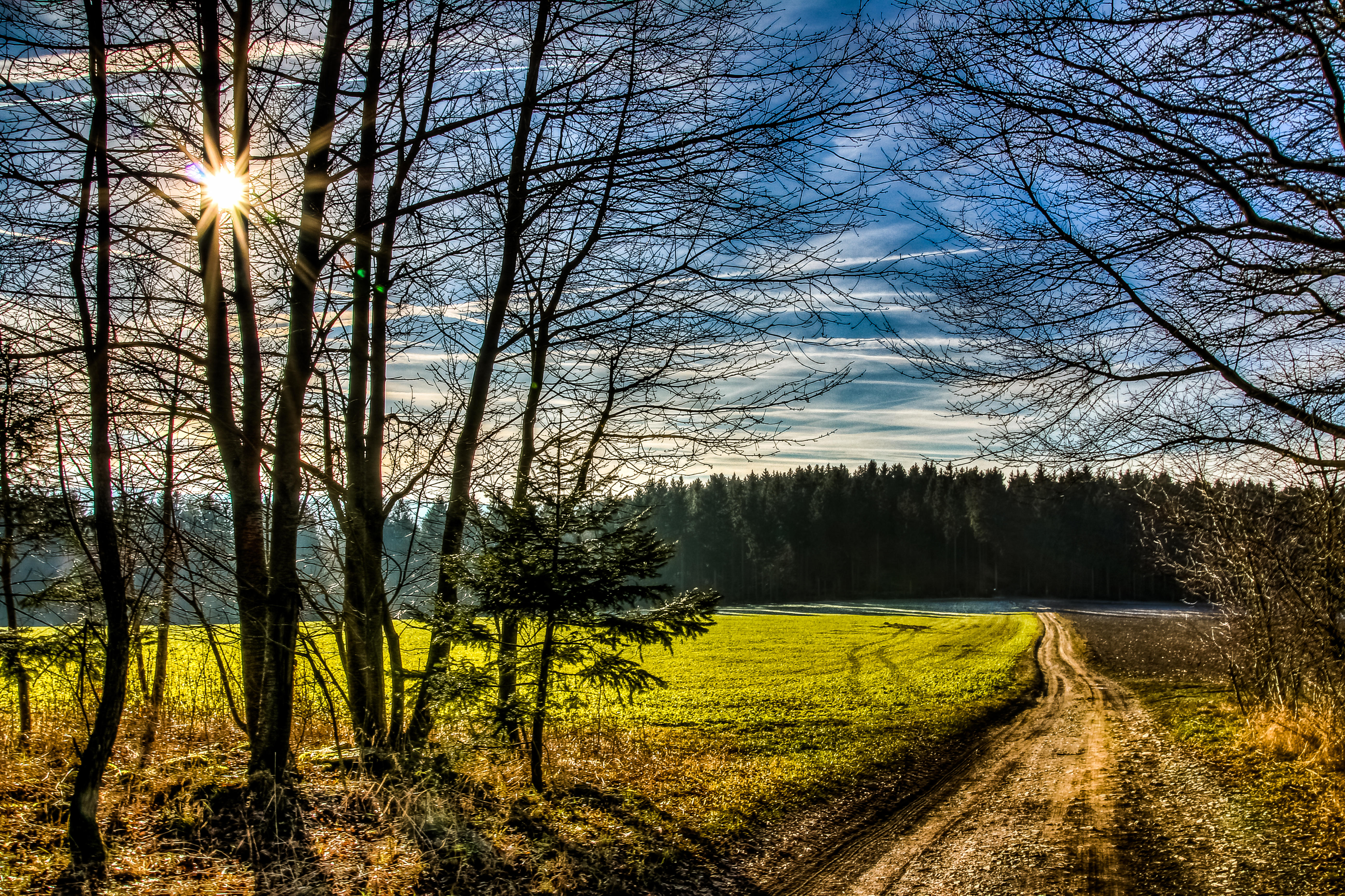 Wallpapers gravel road landscape trees on the desktop