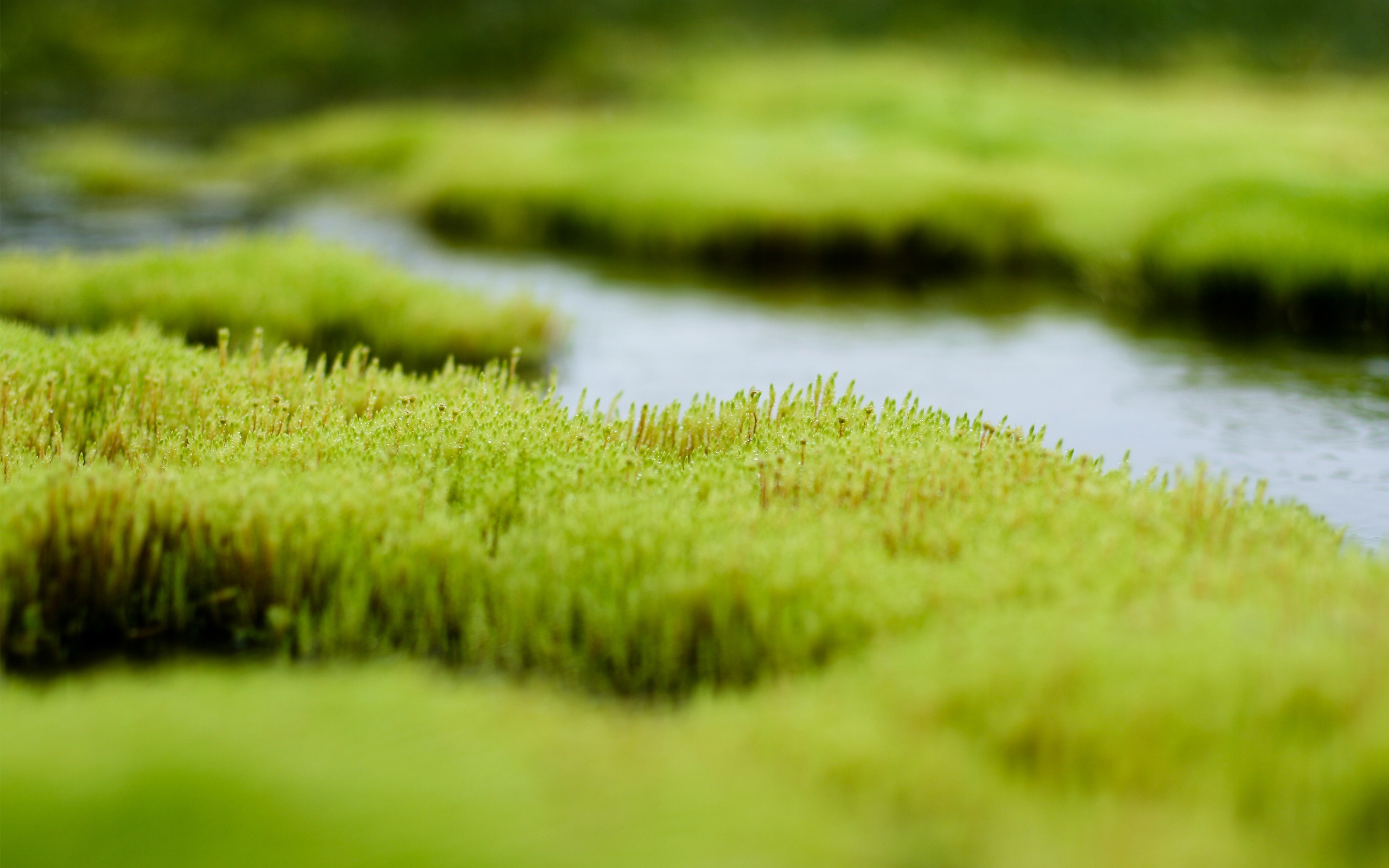 Wallpapers white water nature on the desktop