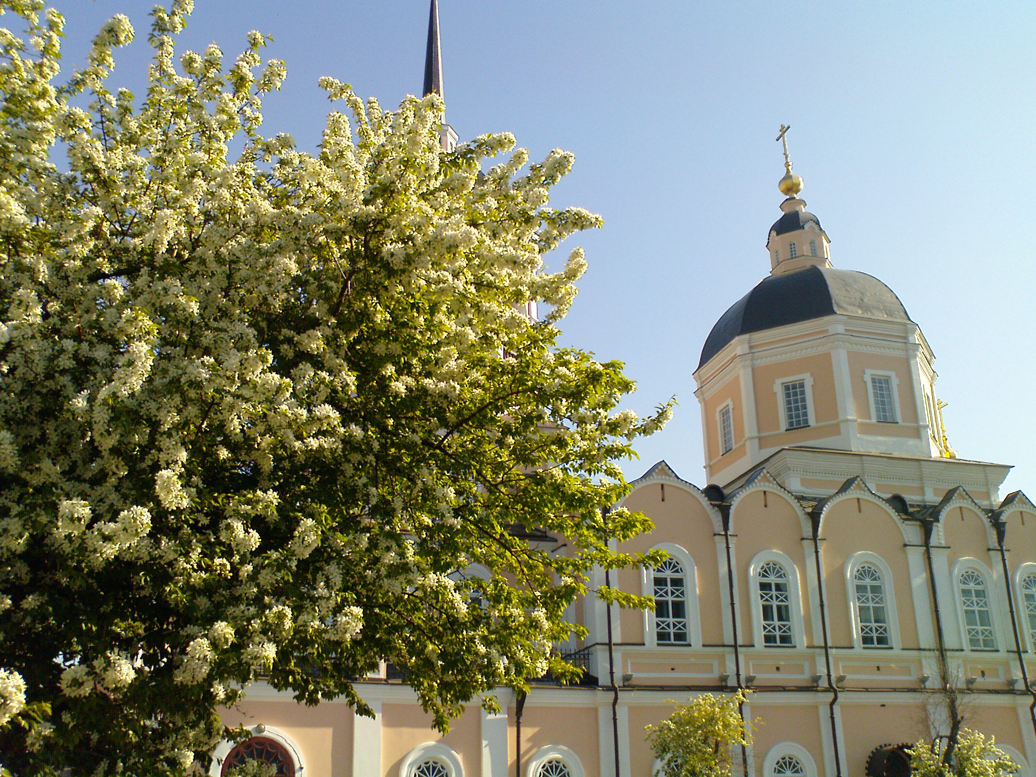 Бесплатное фото Богоявленский собор в Томске и цветущее дерево
