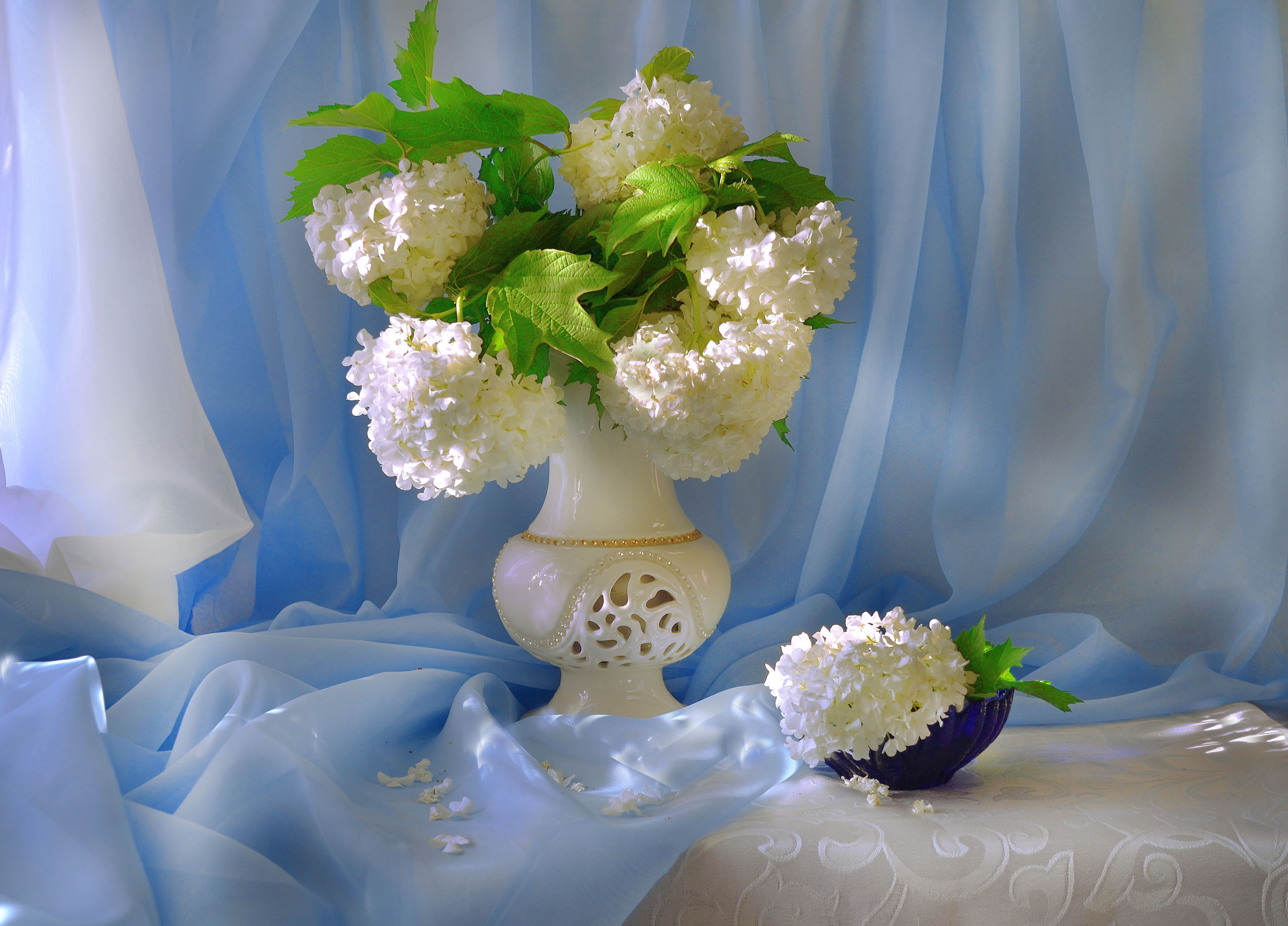 Wallpapers still life a still-life white flowers on the desktop