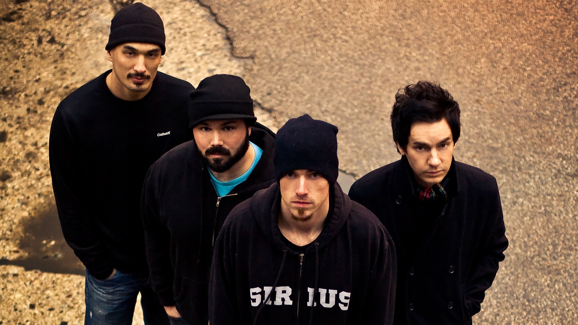 桌面上的壁纸凉爽 室外 髯毛