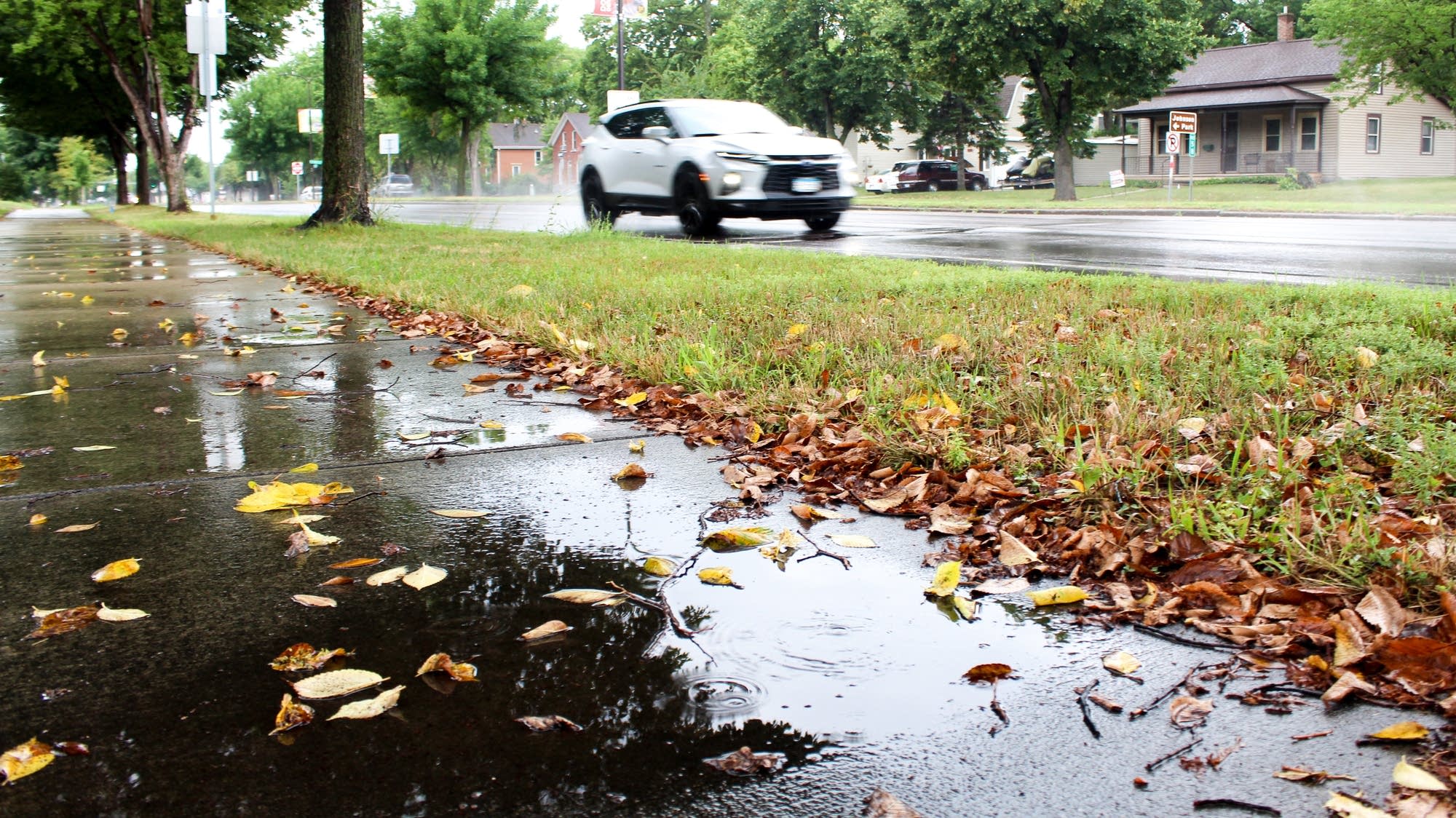 桌面上的壁纸落叶 秋季 雨天