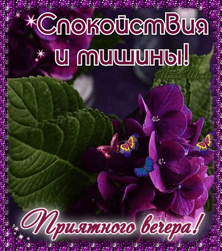 免费明信片祝您晚上愉快