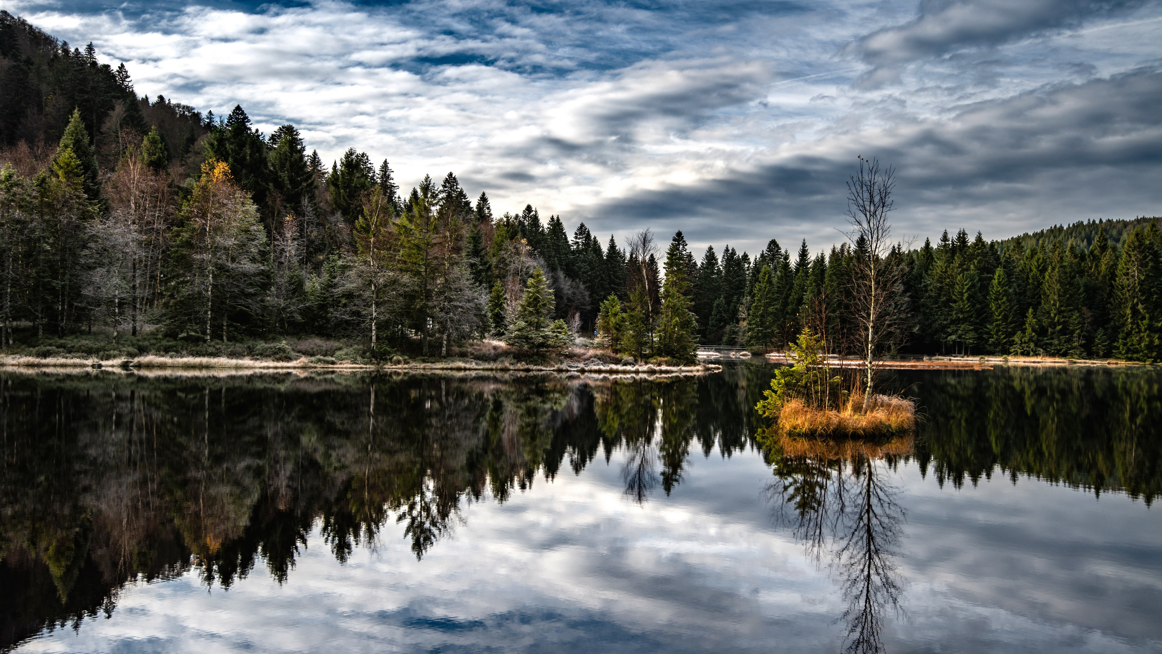 Free photo Autumn landscape