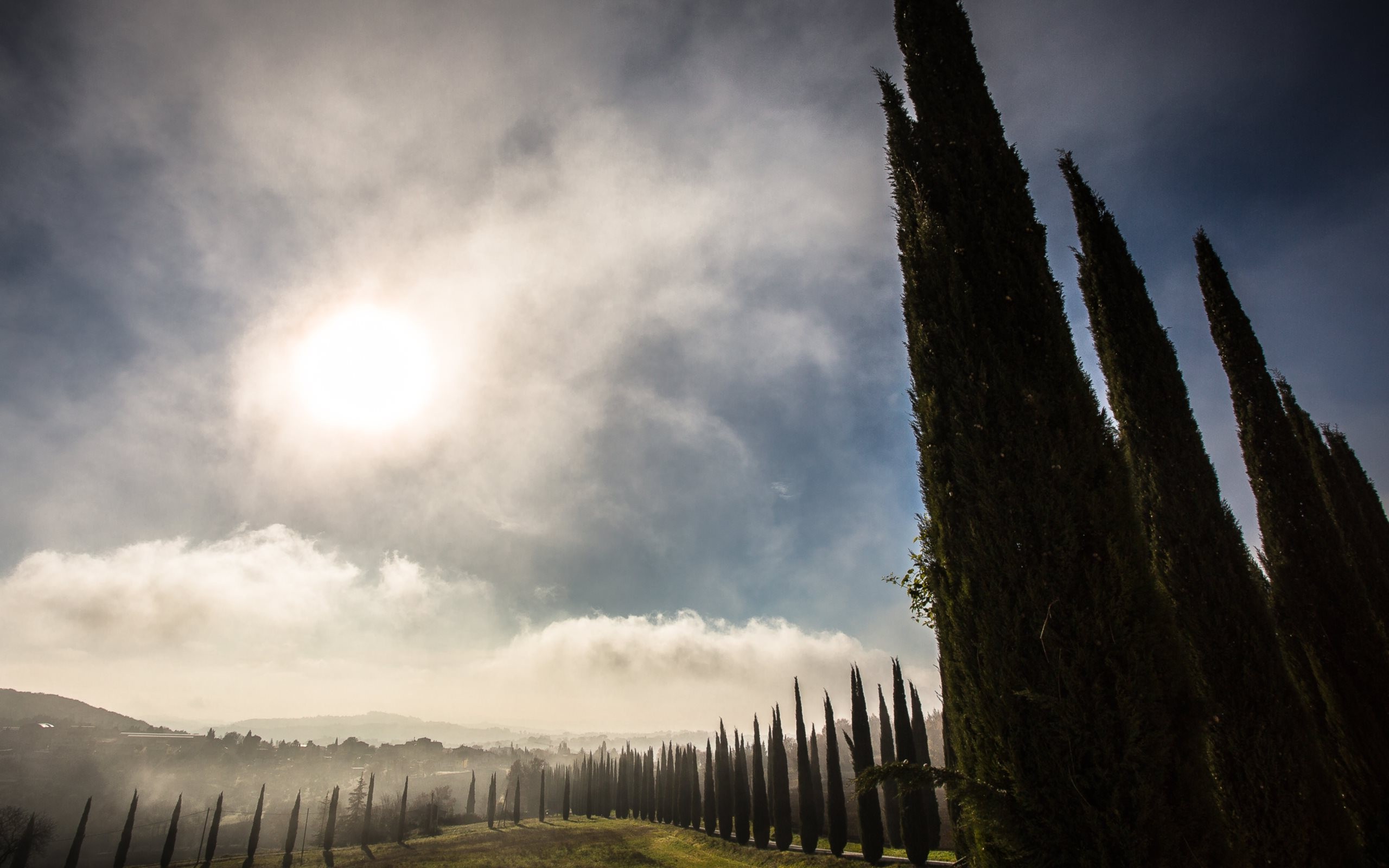 Деревья и облока закрывающие солнце