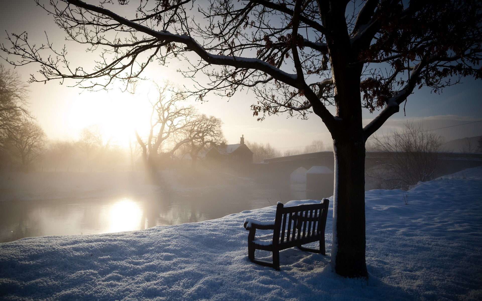 Free photo A frosty winter morning by the river