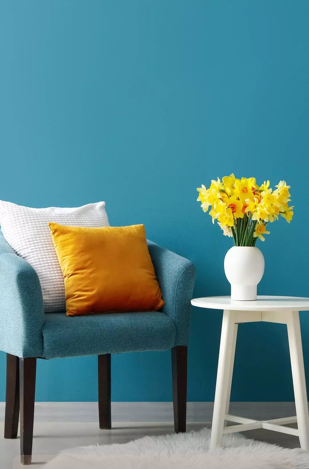 免费照片内部对比