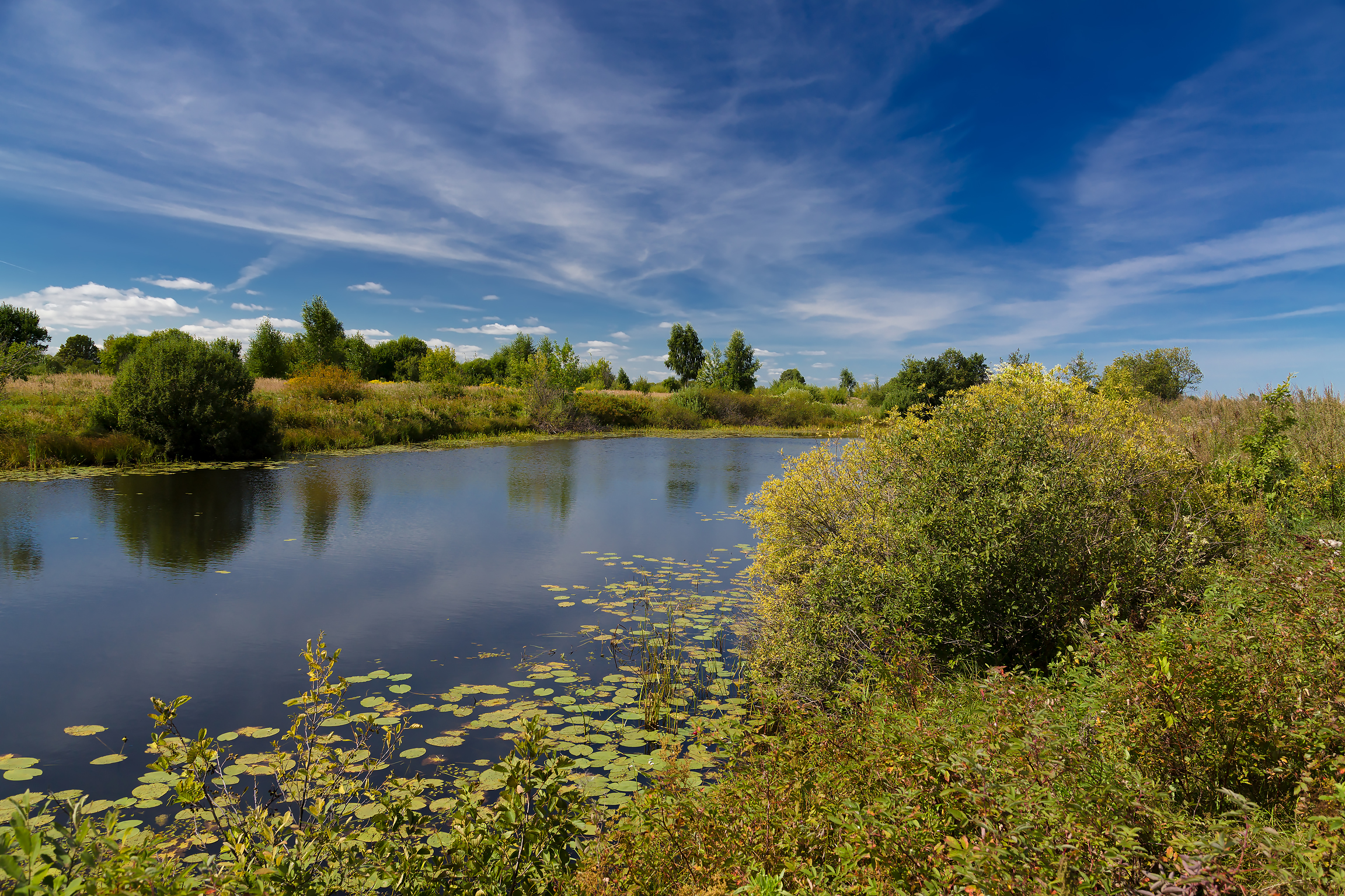 Free photo Landscape with river