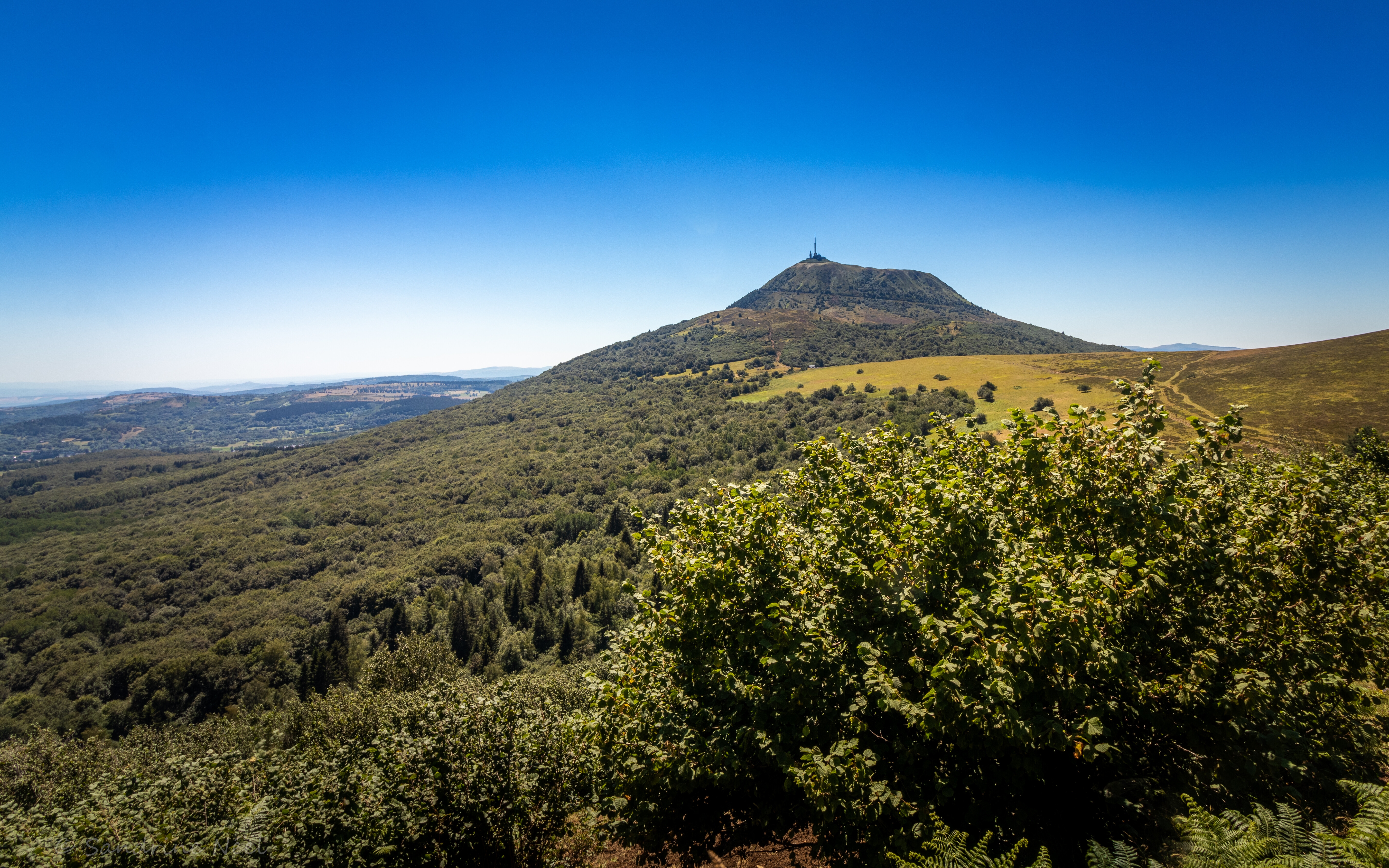 Free photo A hill in vegetation against a clear sky