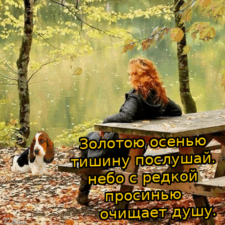 Postcard on the theme autumn day wish moods a dog download for free