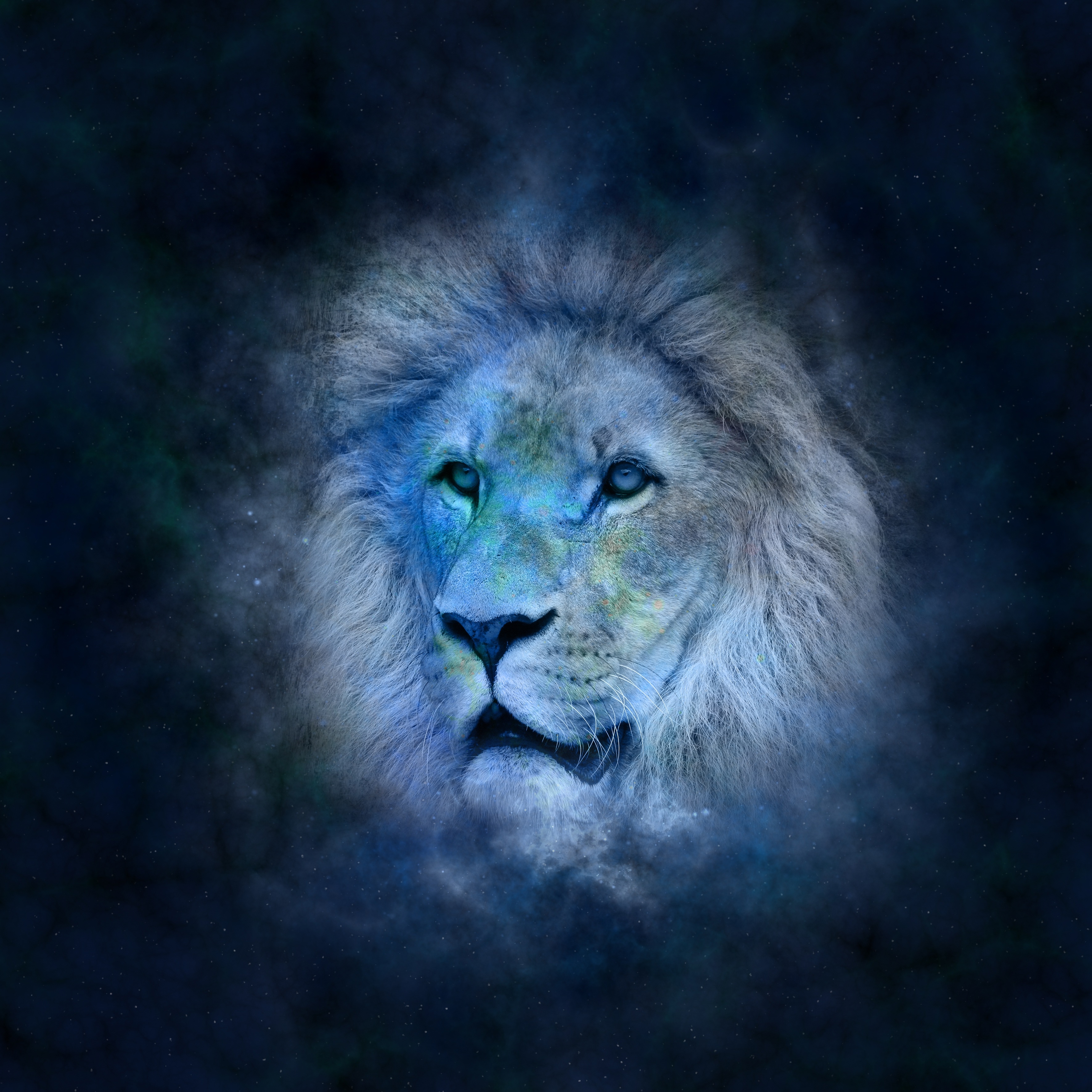 Wallpapers lion space digital art on the desktop