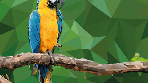 Обои рисунок попугай ара на рабочий стол