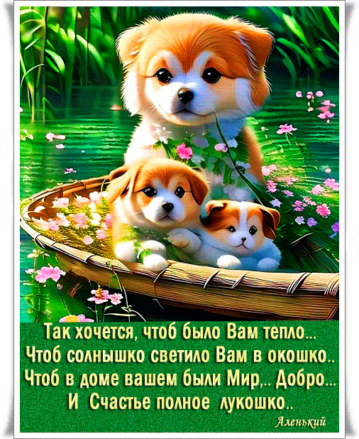 Postcard on the theme doggies dogs download for free