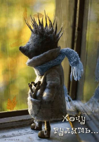 免费明信片Gif与想要走路的刺猬