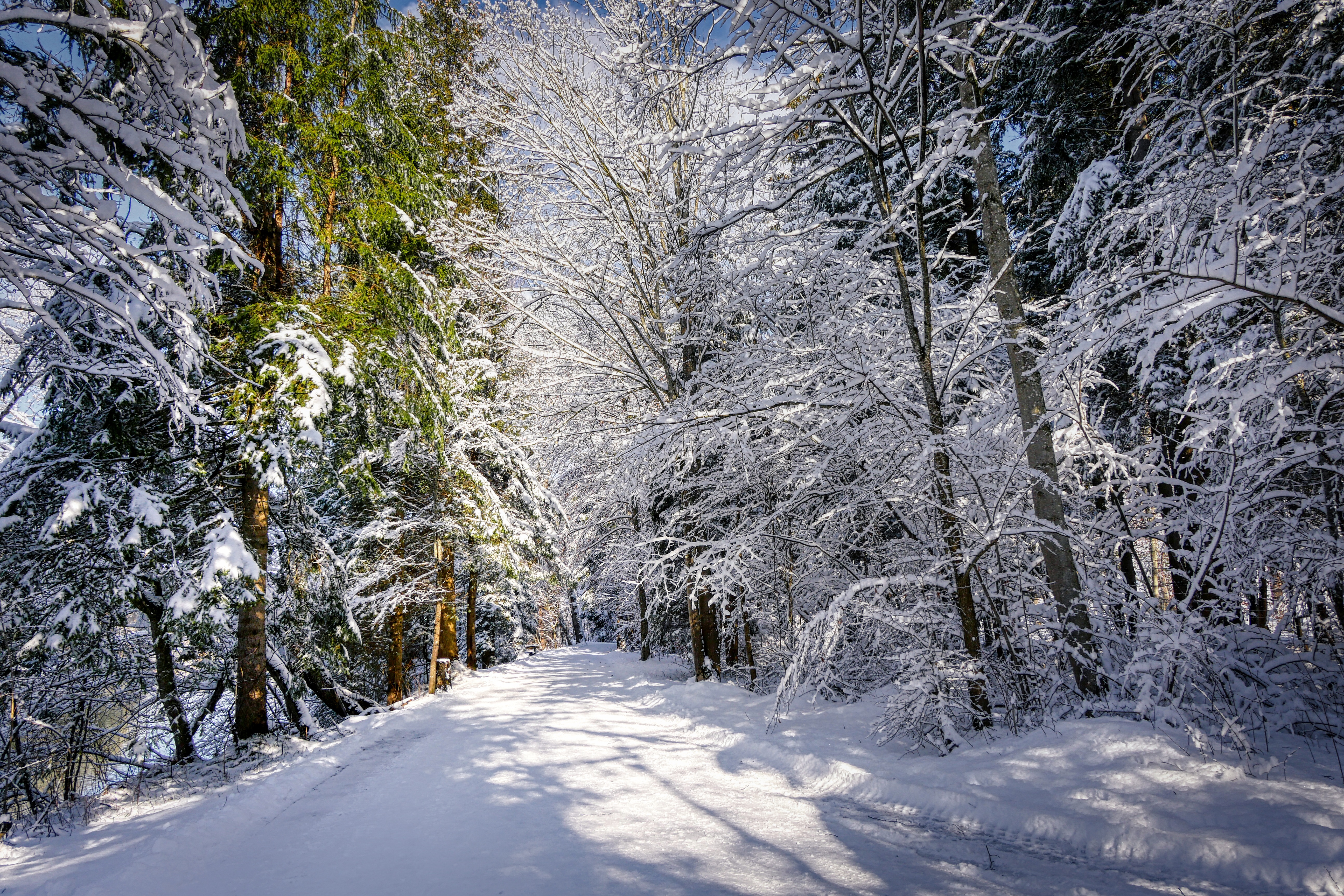 Free photo Winter road near the river