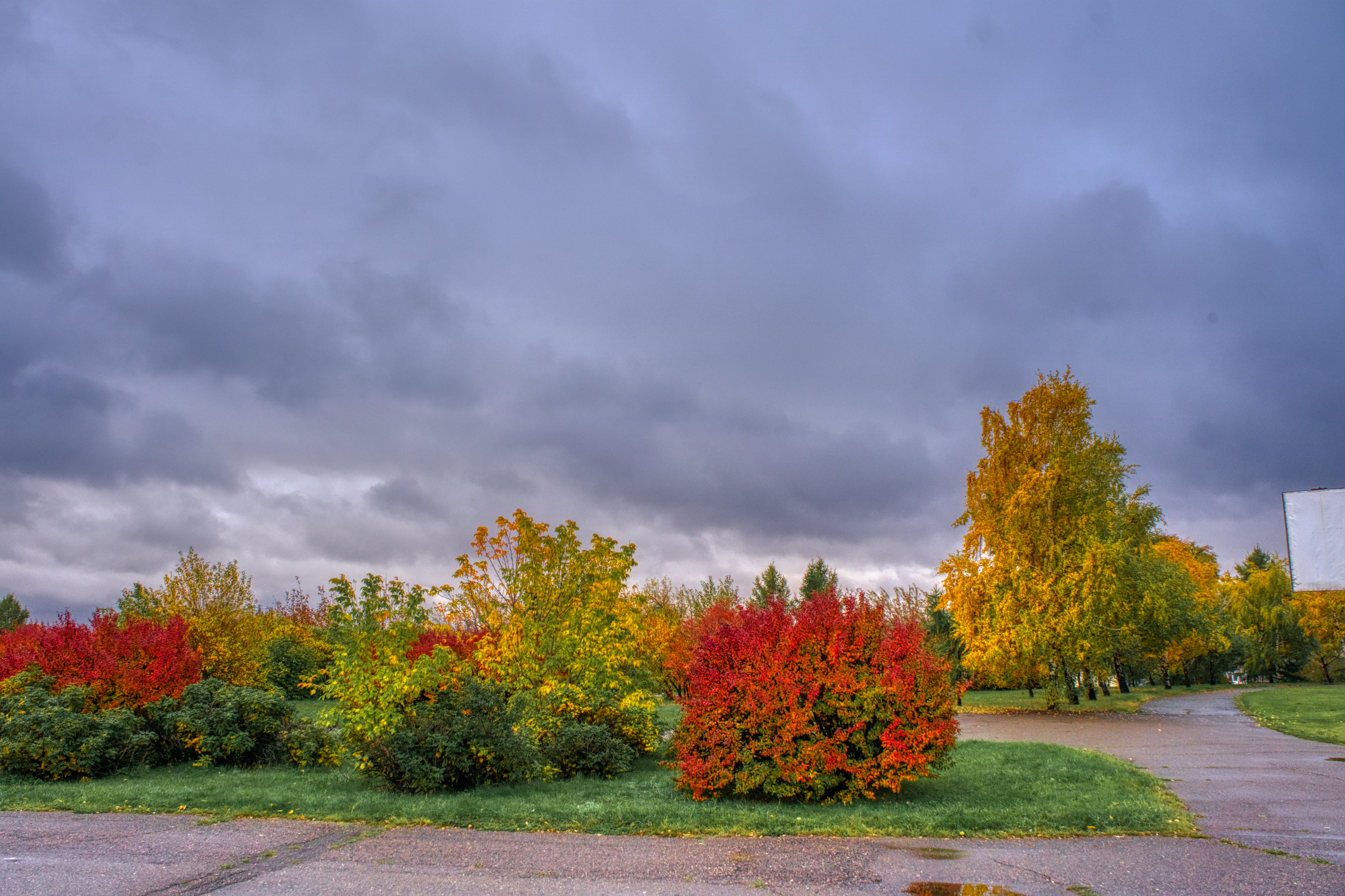 Free photo Colorful trees in an autumn park