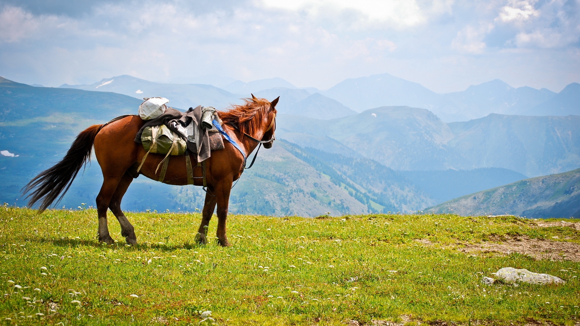 Wallpapers landscape mountains horse on the desktop