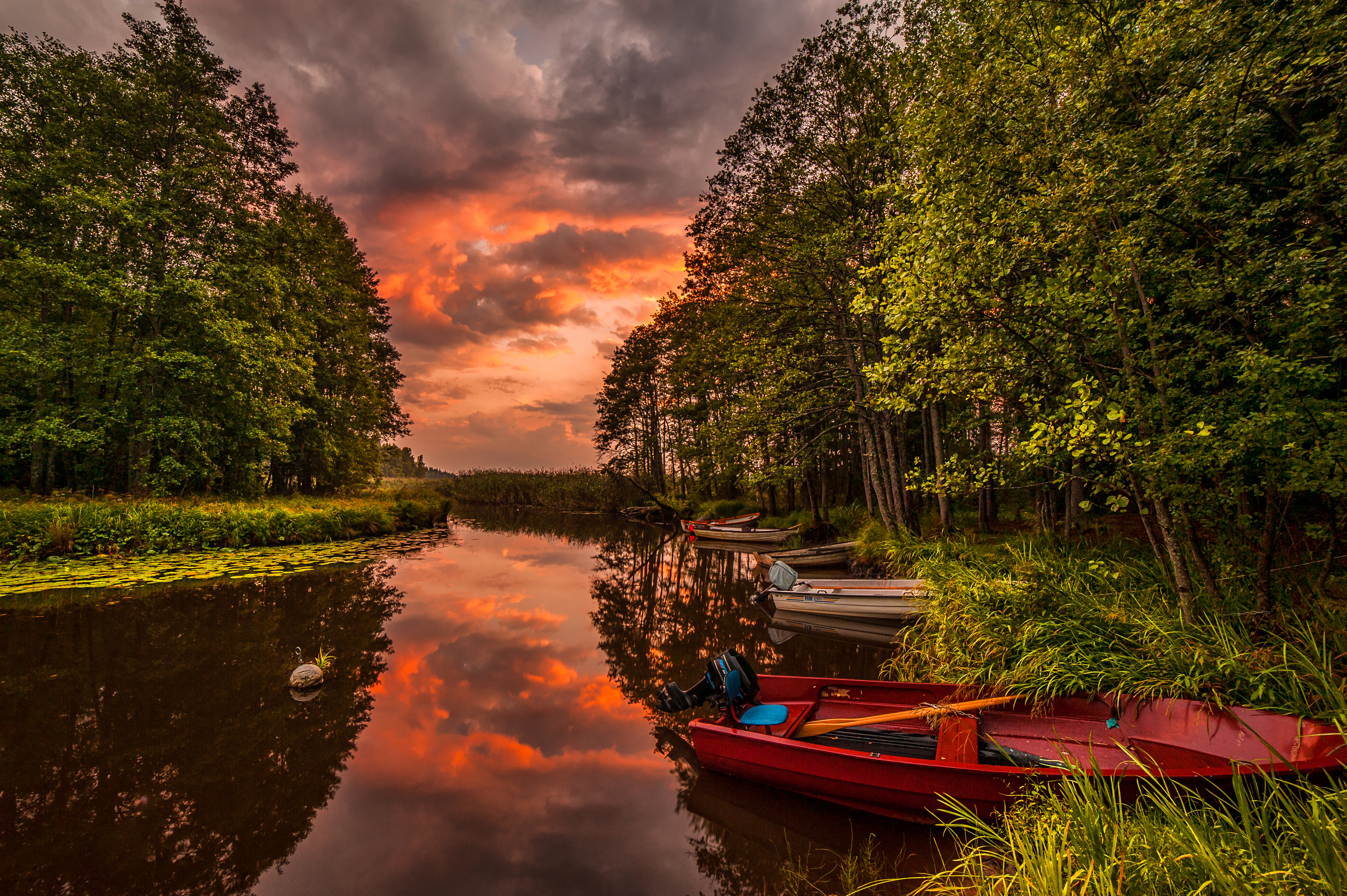 Free photo Sunset on the forest lake