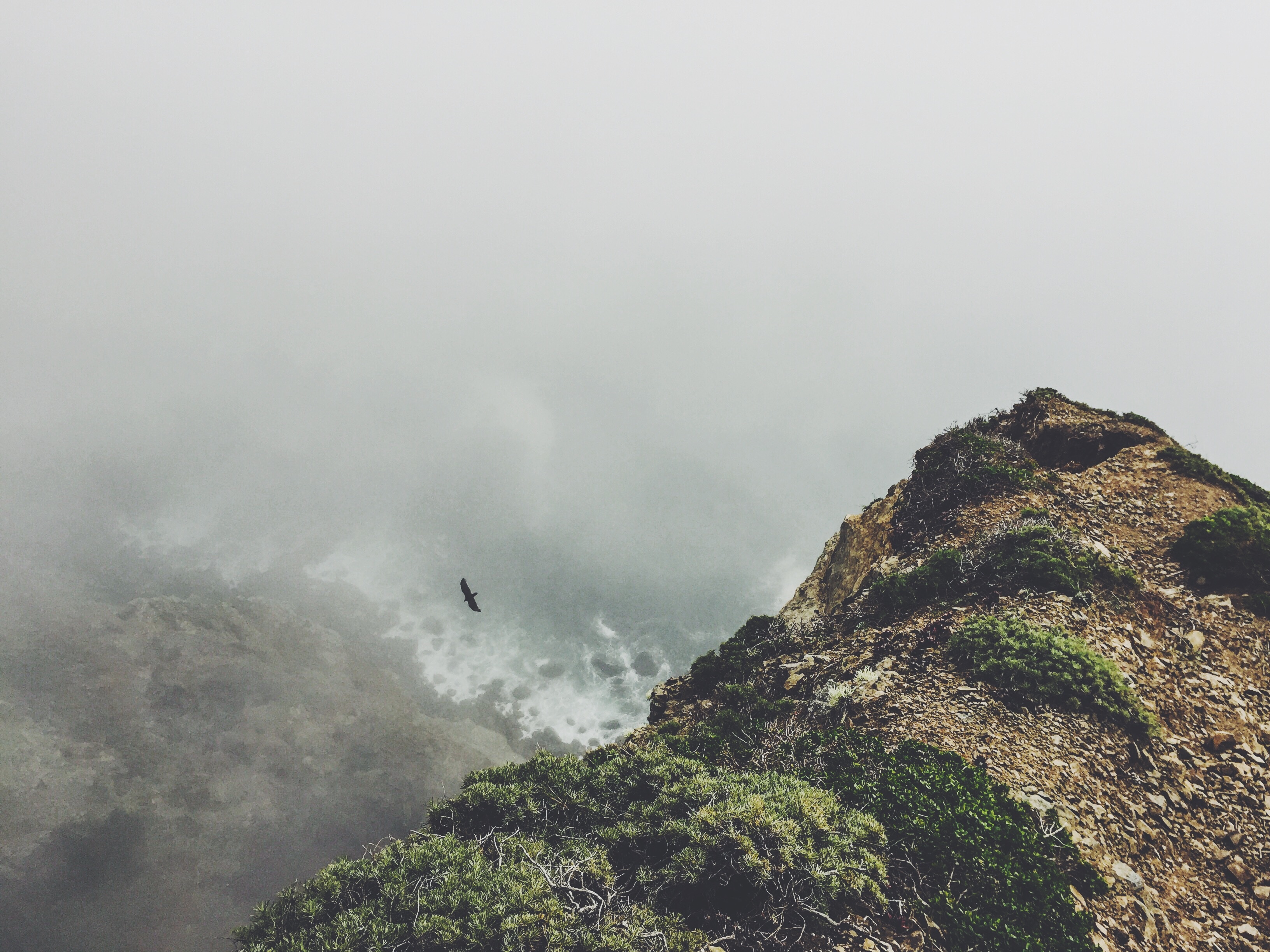Wallpapers sea coast nature on the desktop