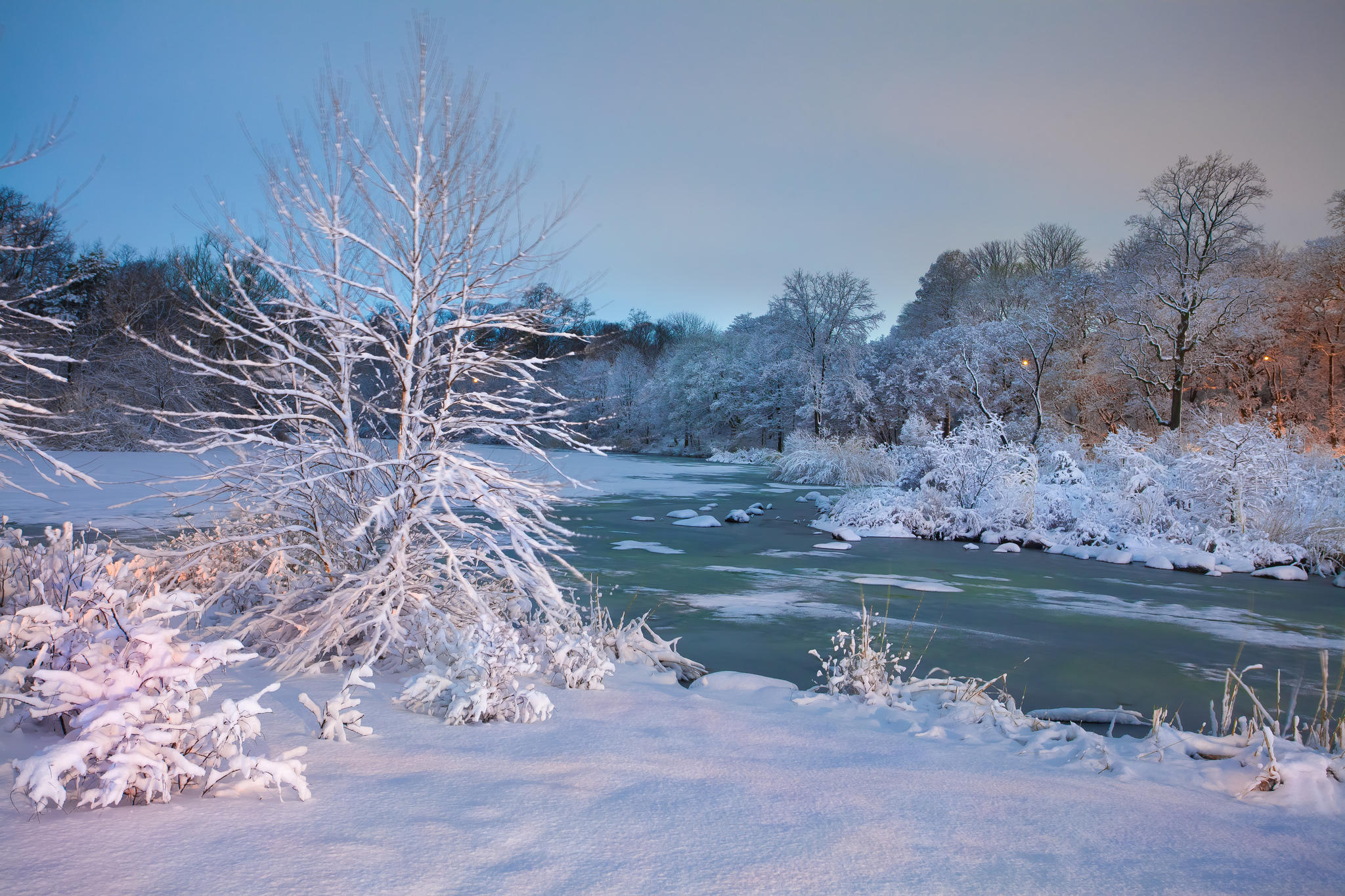 Wallpapers landscape trees in the snow sunset on the desktop