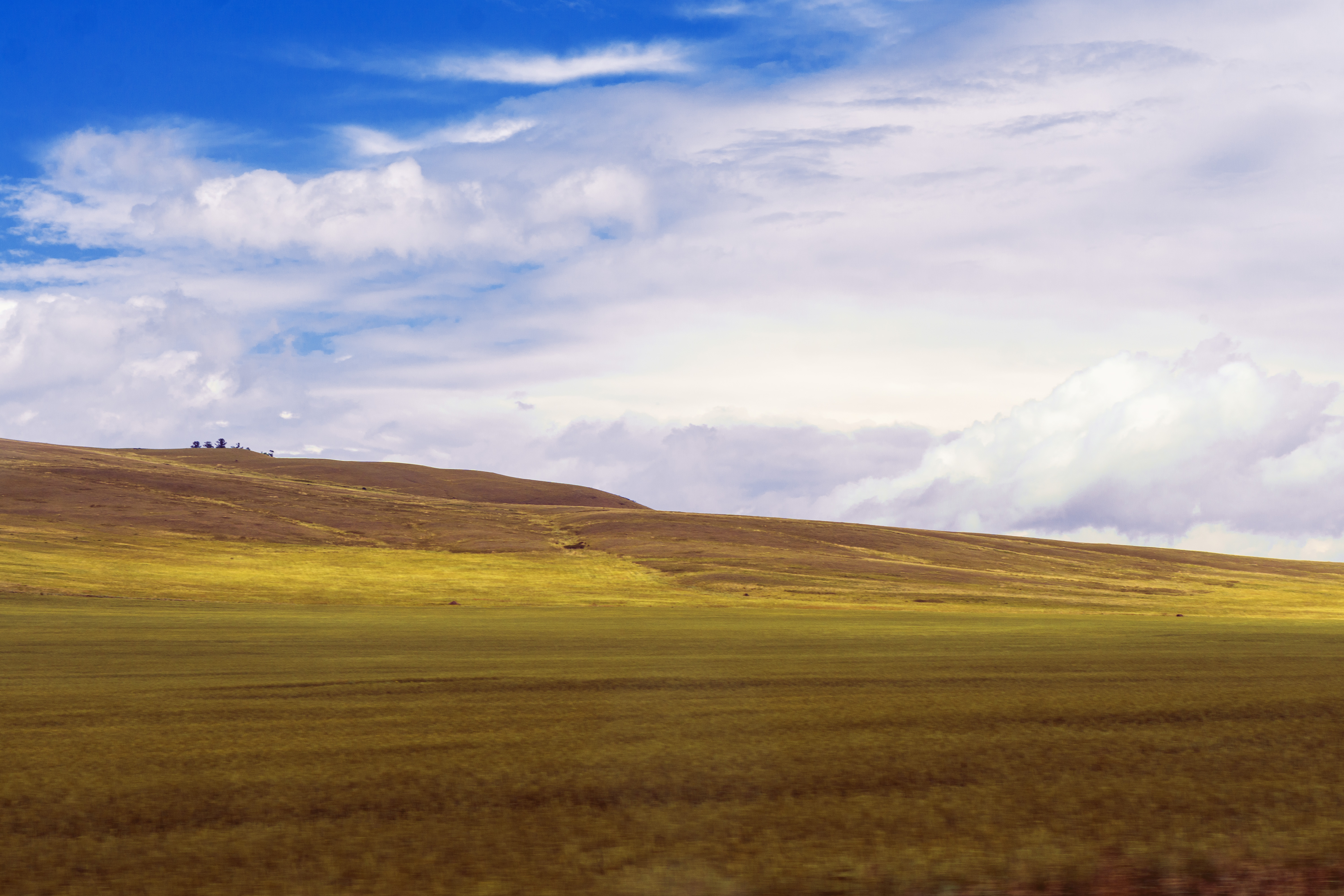 Поля Хакасии летом