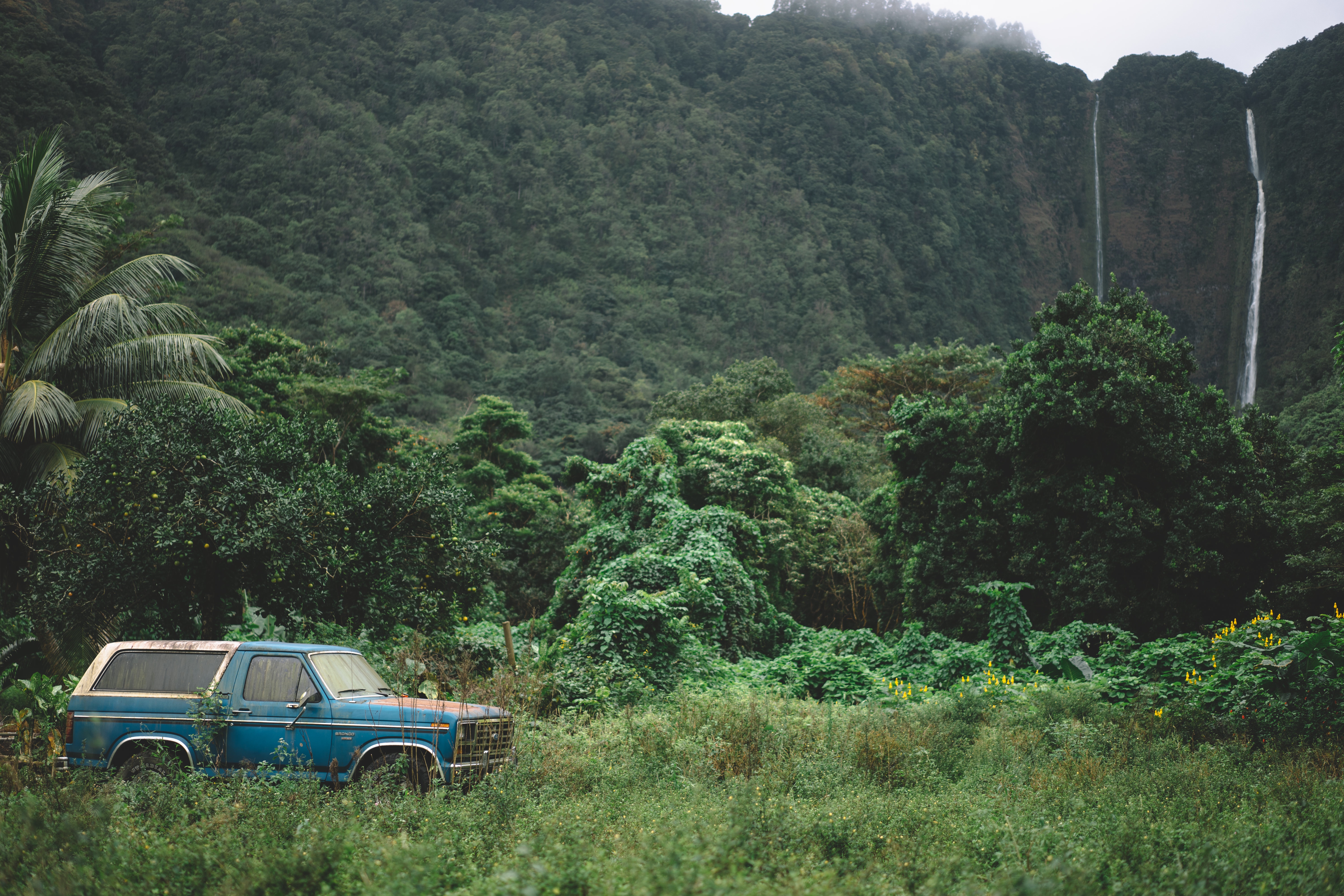桌面上的壁纸旧车 周边自然 热带雨林