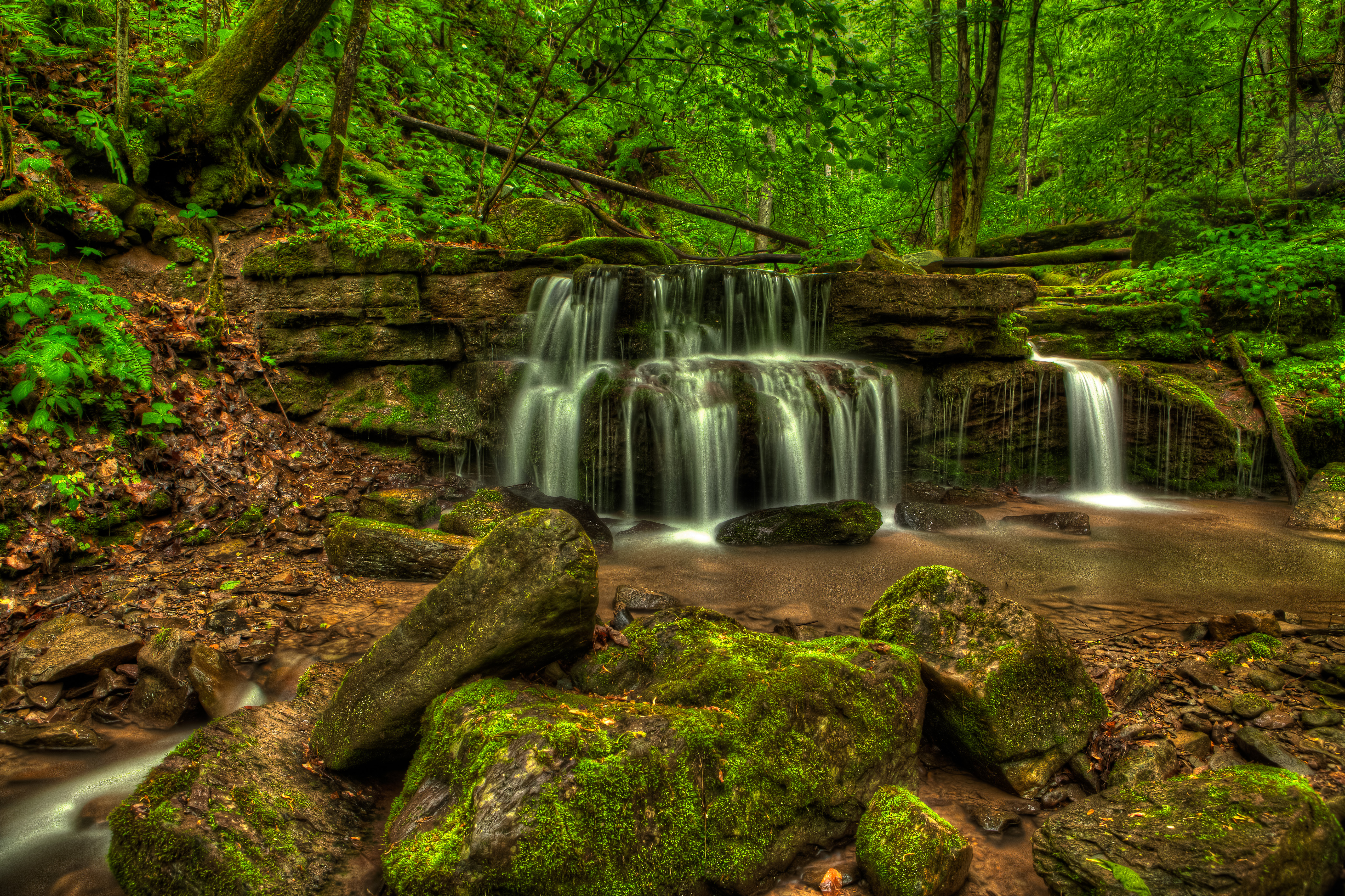 Обои Big Branch Falls New River Gorge West Virginia на рабочий стол