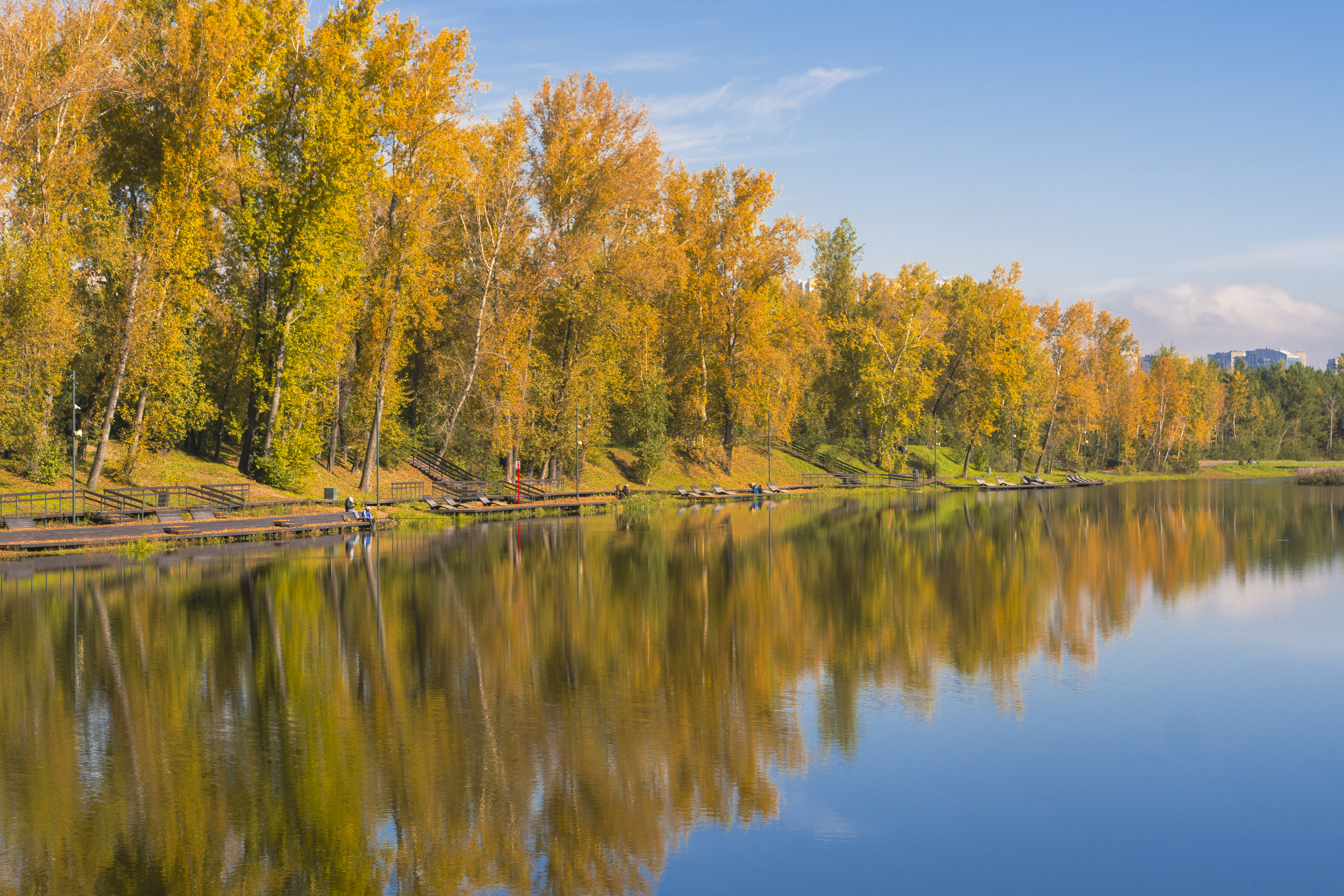 Бесплатное фото Отражение леса в воде реки