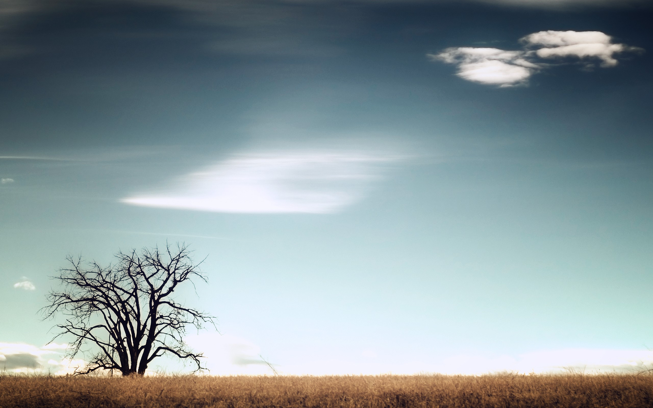 Бесплатное фото Холодное время