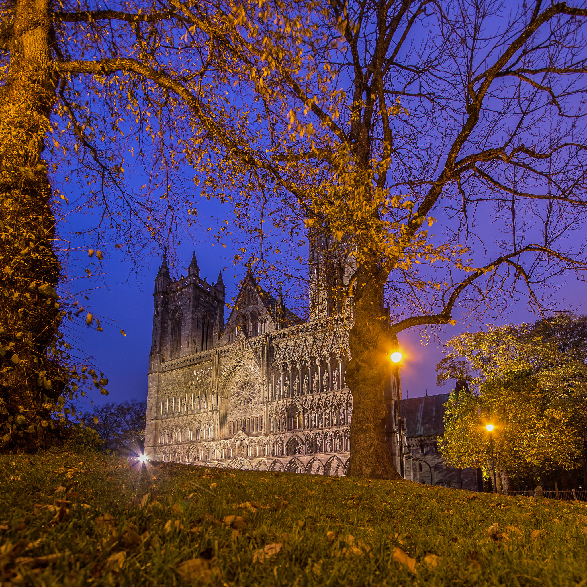 Wallpapers The Cathedral Nidarosdomen Trondheim Norway on the desktop