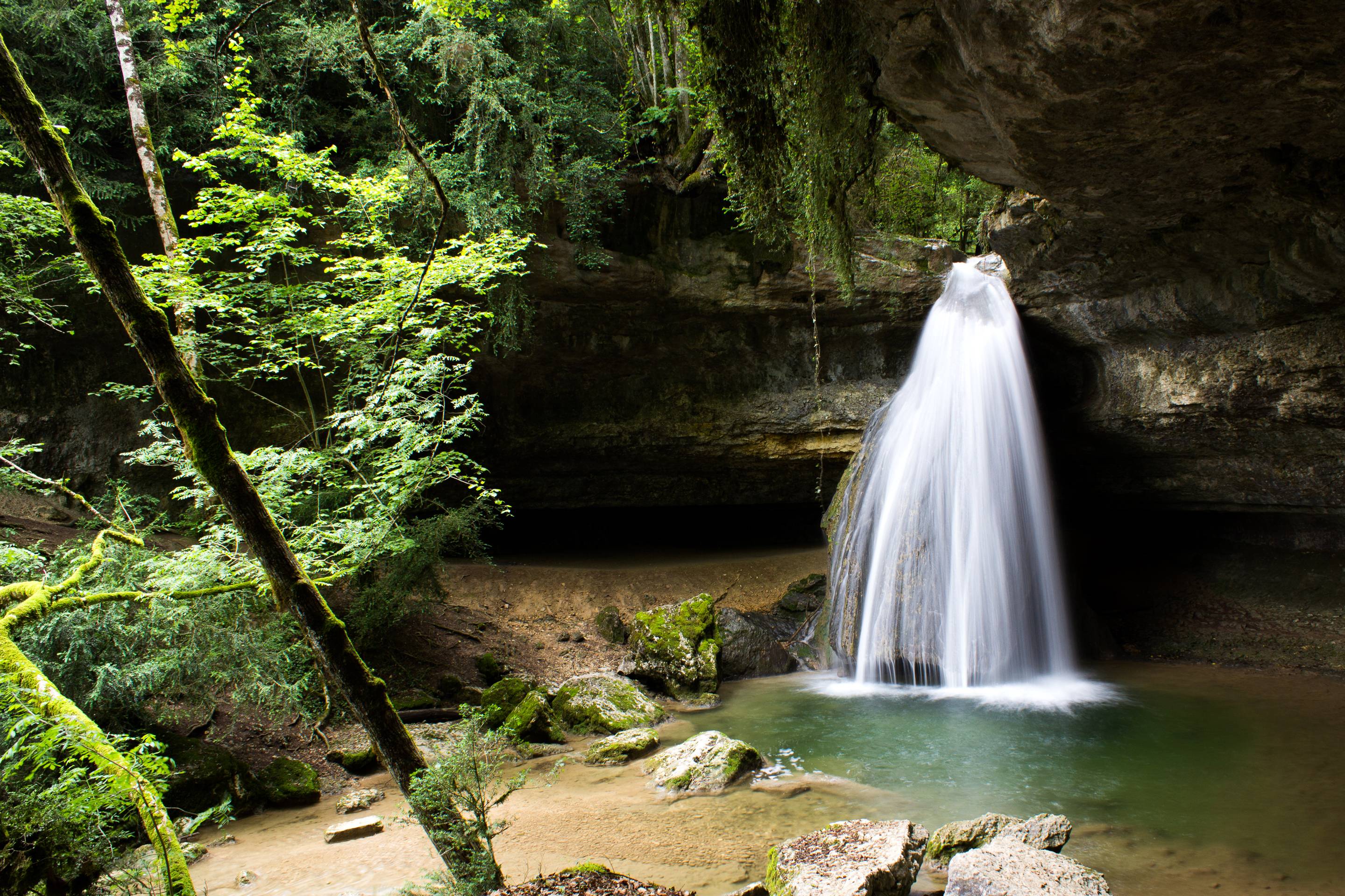 Wallpapers waterfall jungle vegetation on the desktop