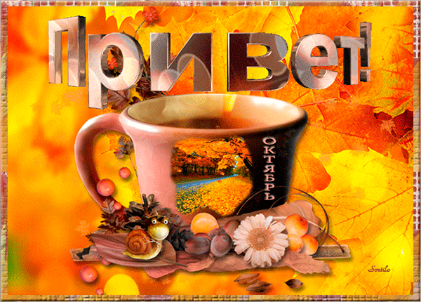 Postcard on the theme cup coffee leaves download for free