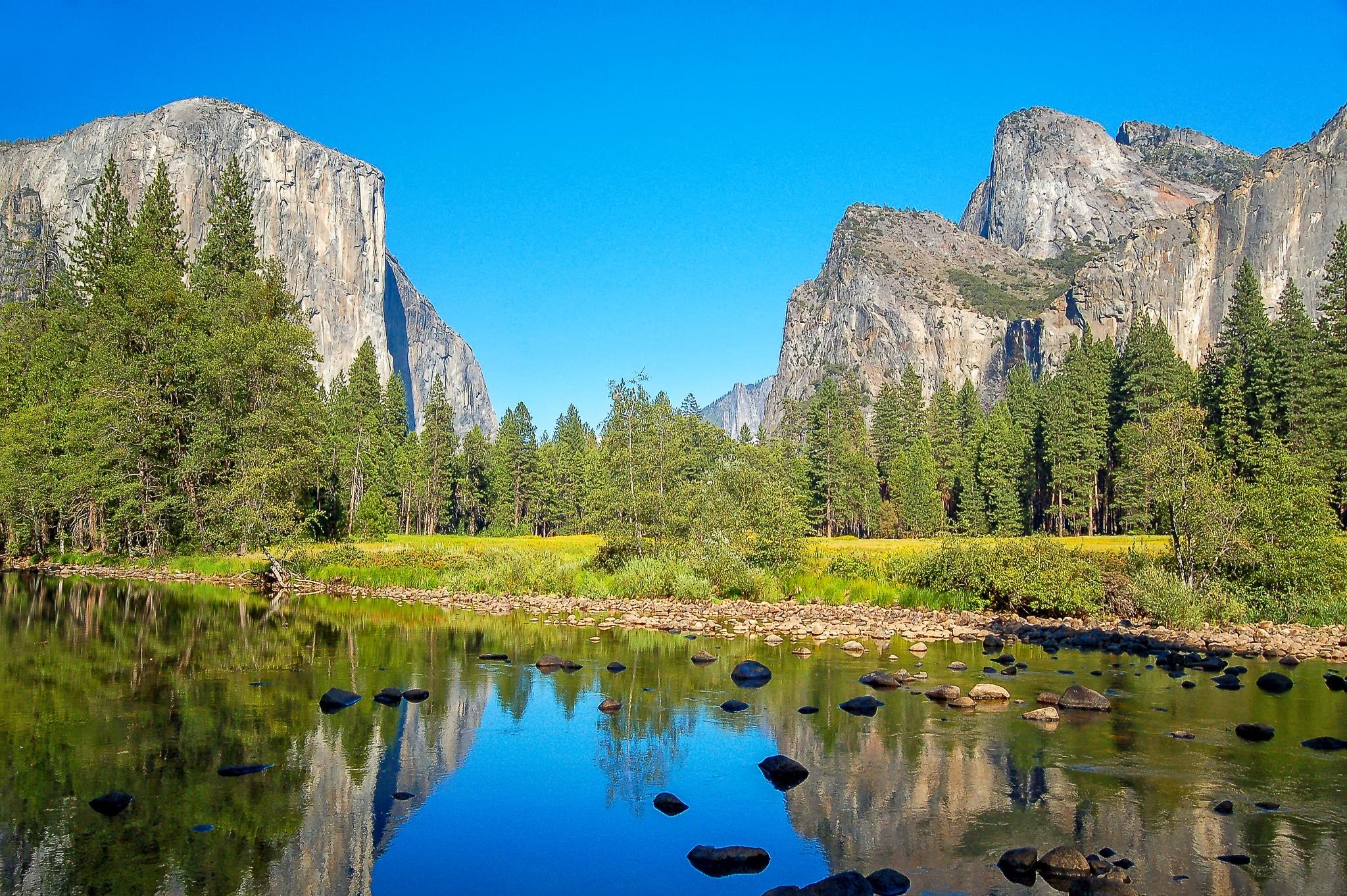 Wallpapers yosemite national park summer christmas trees on the desktop