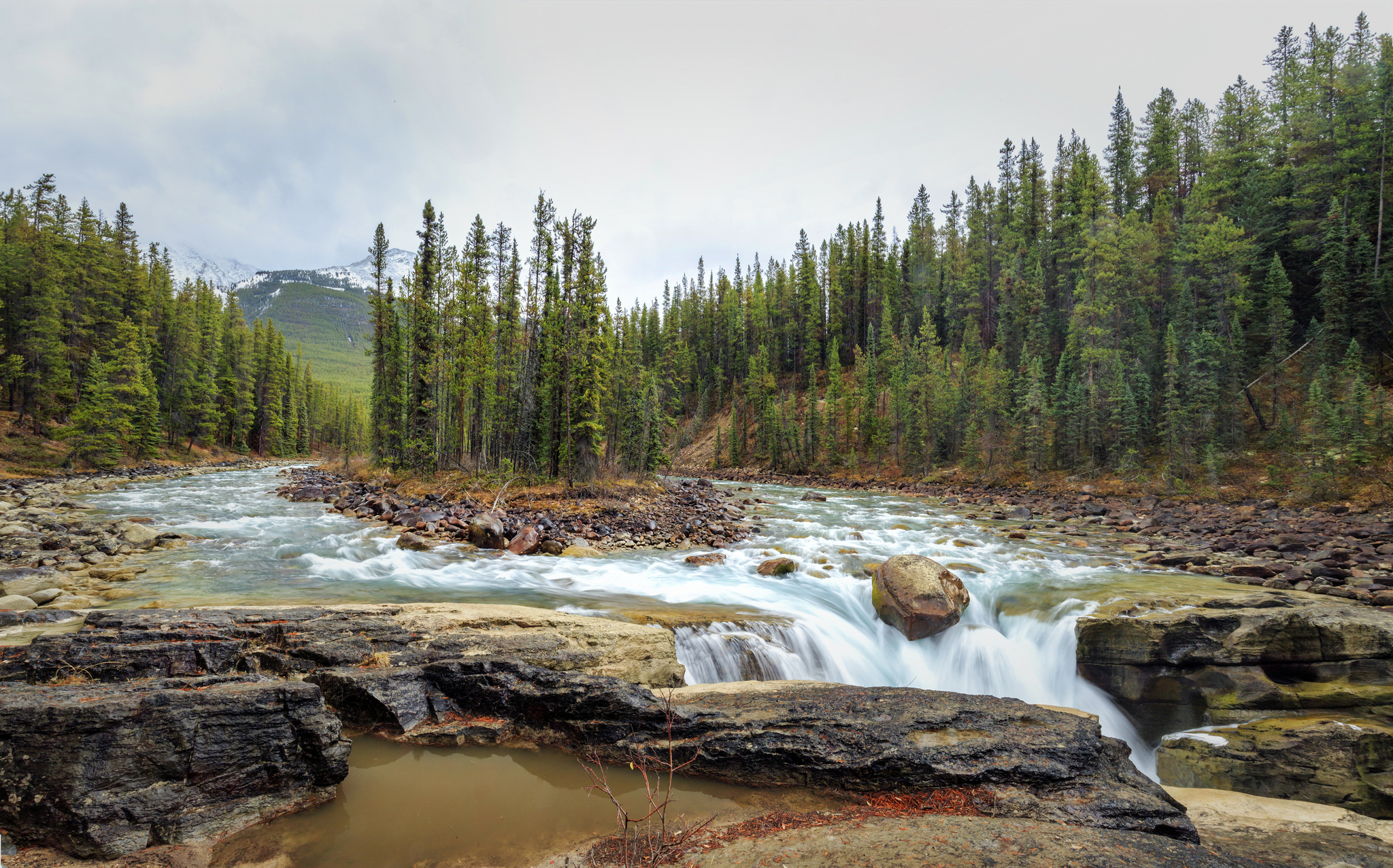 Обои Sunwapta Falls Jasper National Park река на рабочий стол