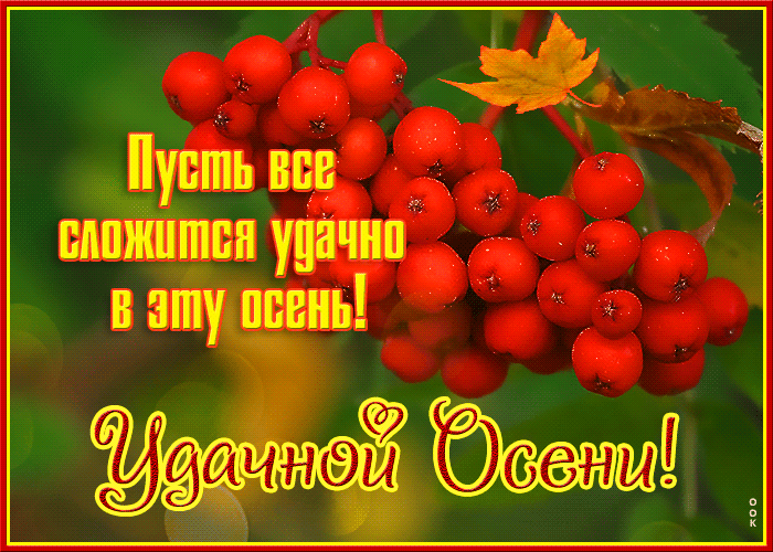 Postcard on the theme have a great fall a rowanberry berries download for free