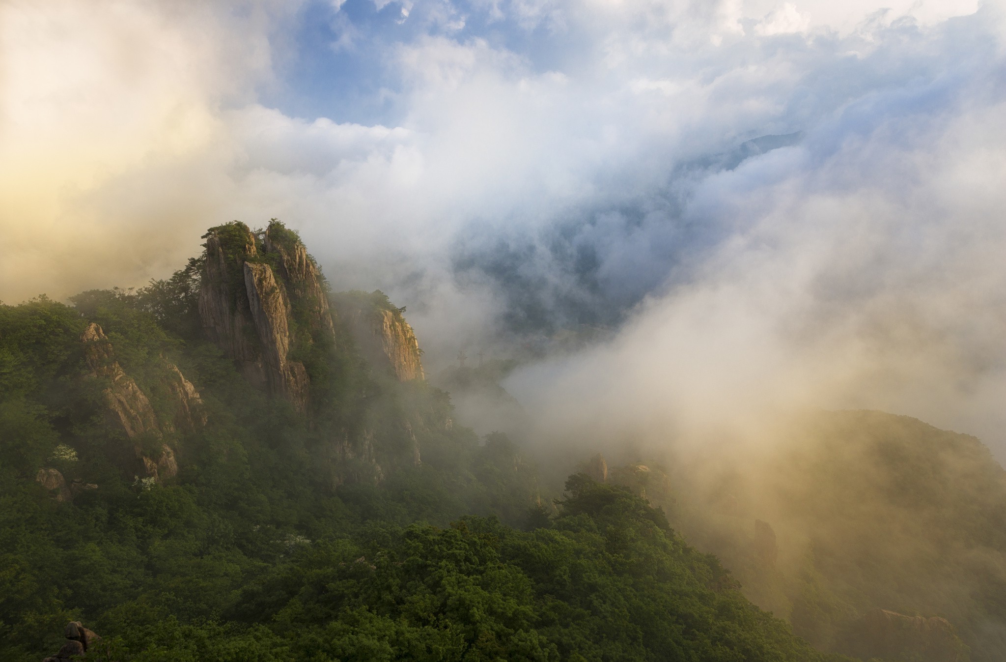 Wallpapers sun light landscape forest on the desktop