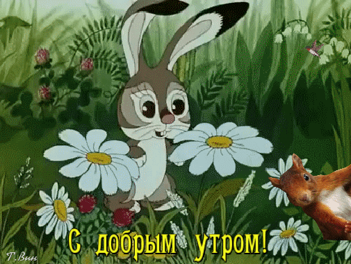 Postcard on the theme animals good morning animation flowers summer morning download for free